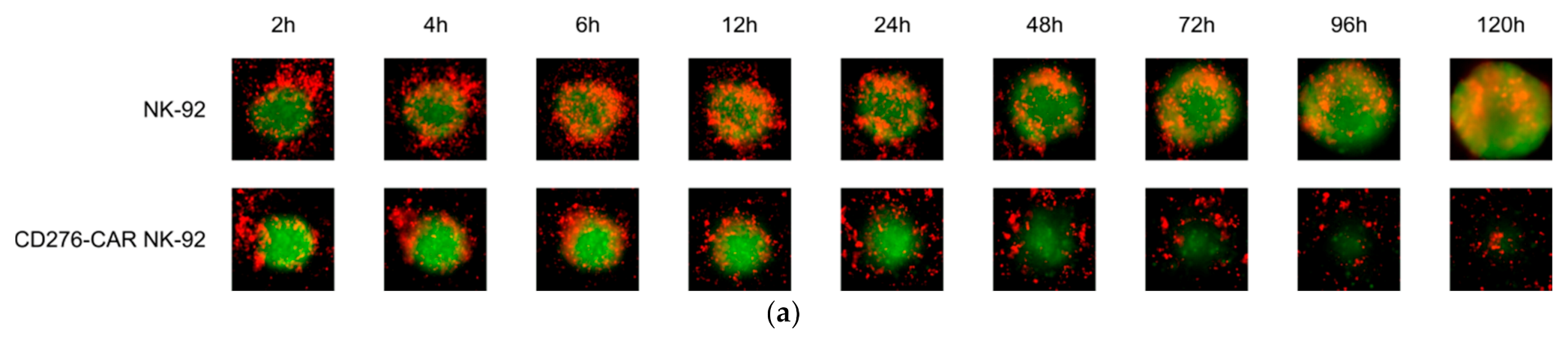 Cells 10 01020 g006a