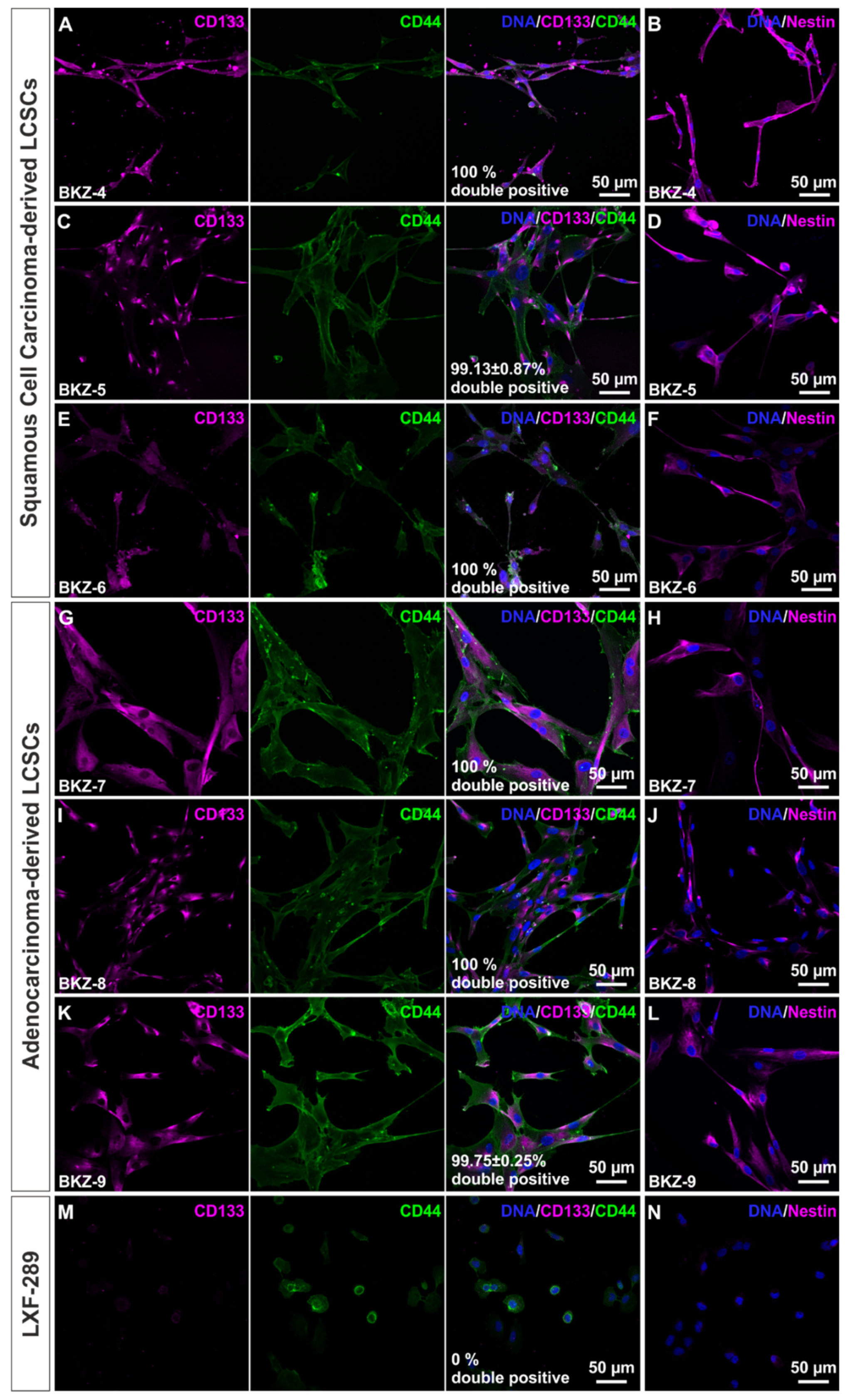 Cells 10 01024 g002 Cells 10 01024 g002