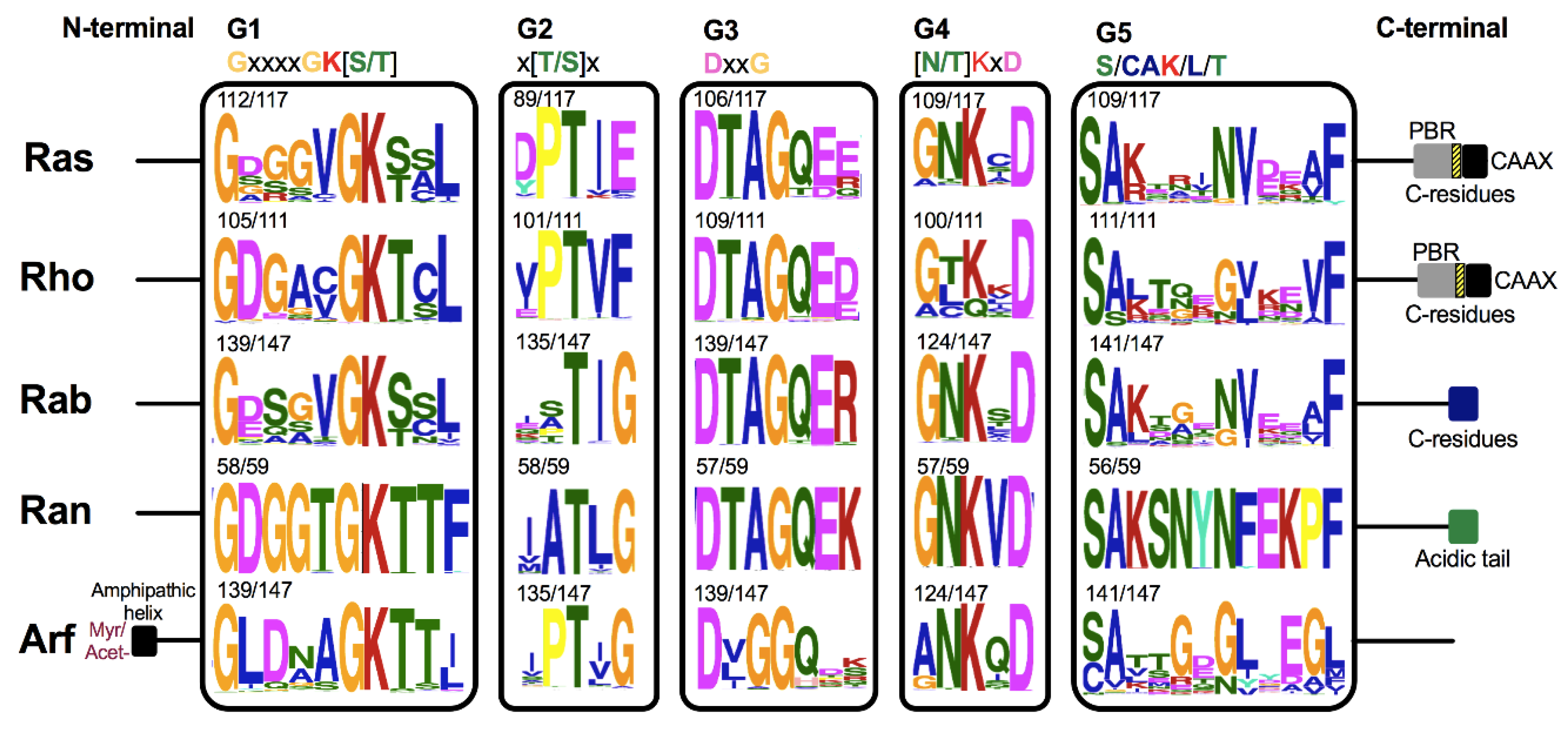 Cells 10 01039 g004
