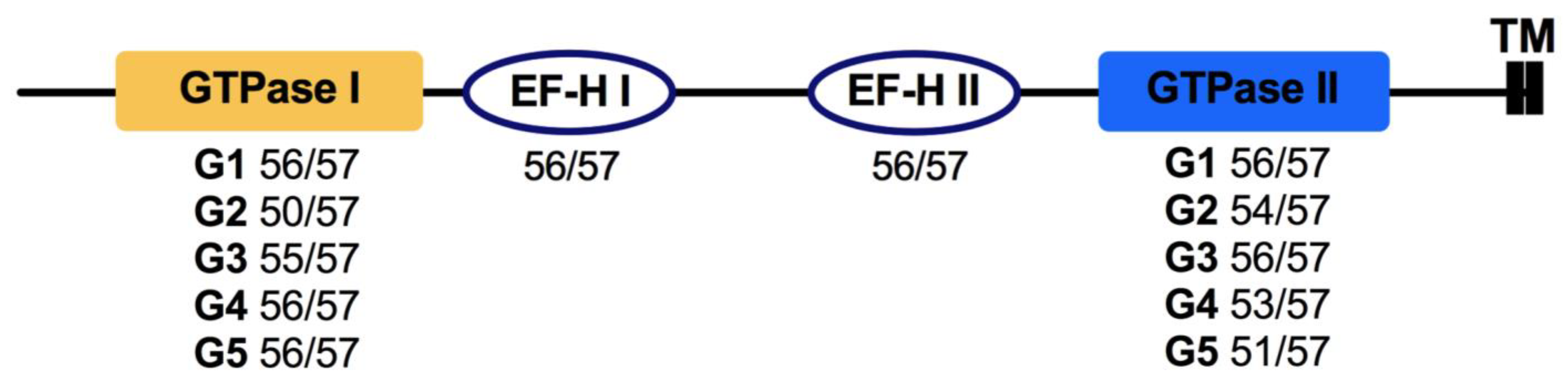 Cells 10 01039 g005