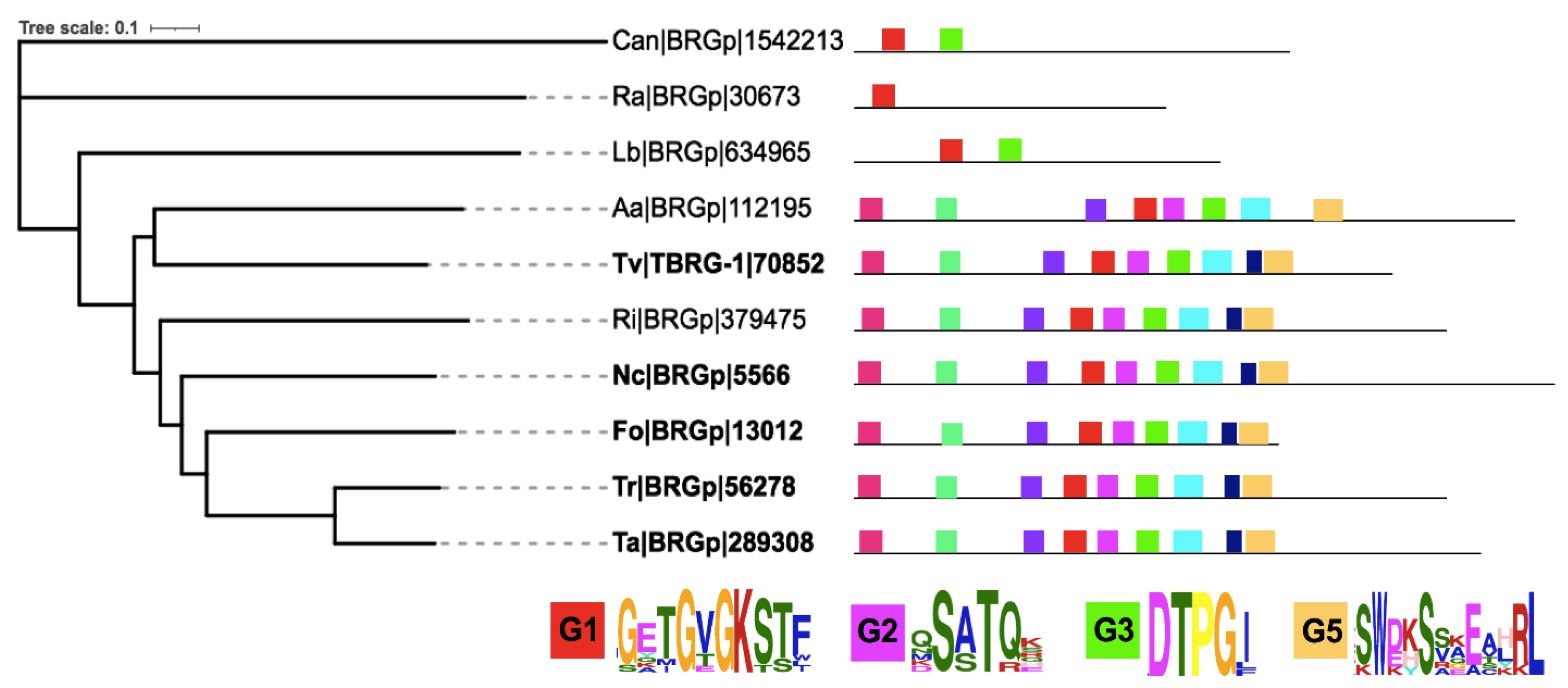 Cells 10 01039 g006