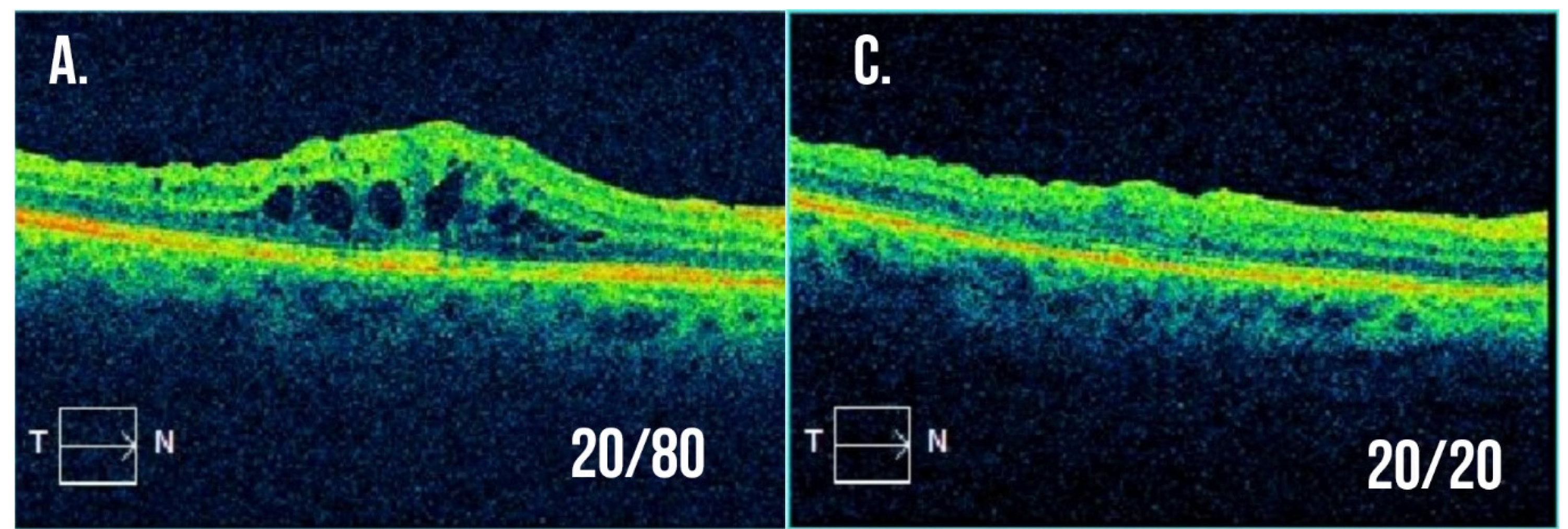 Cells 10 01049 g002a