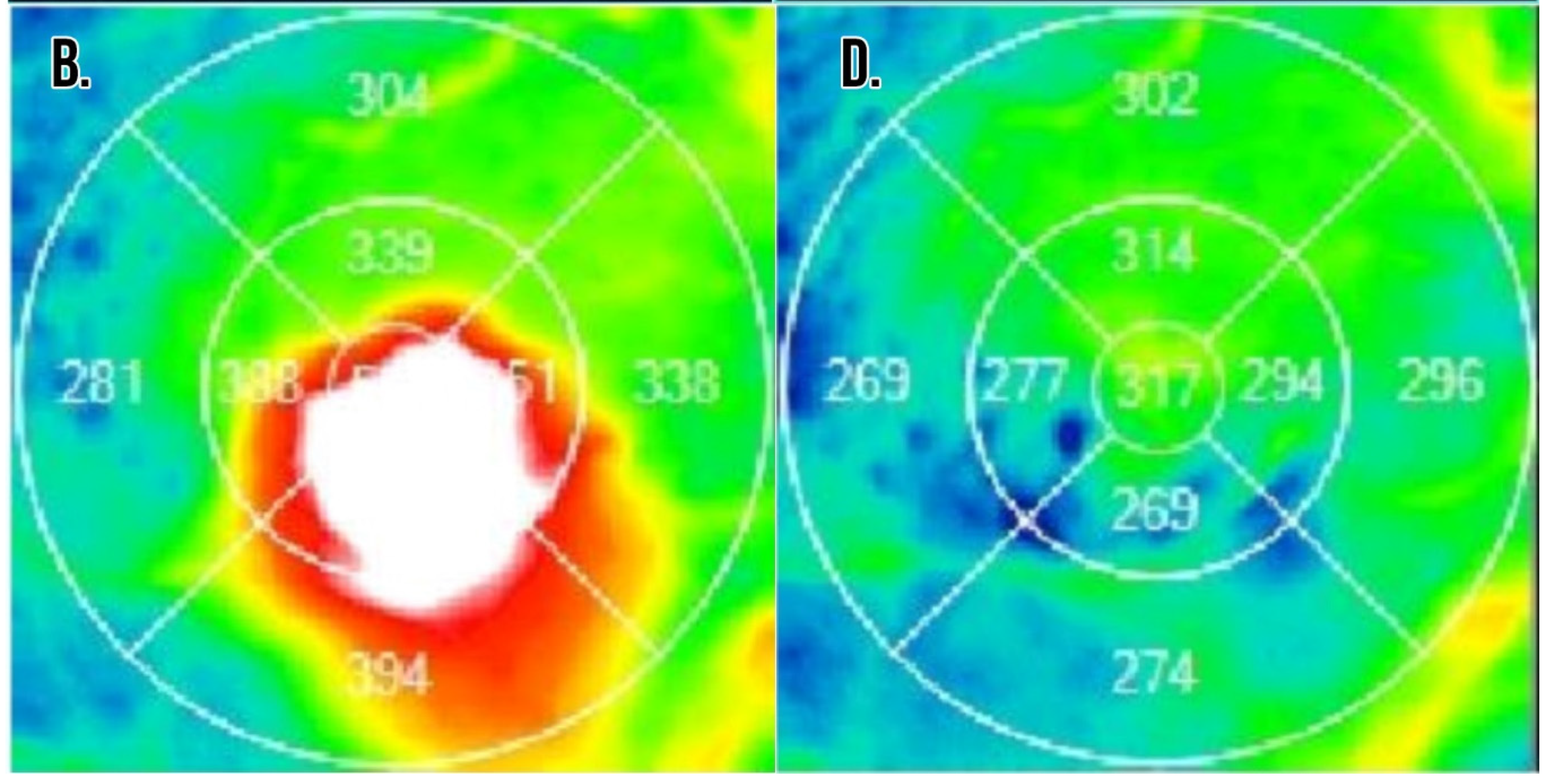 Cells 10 01049 g002b