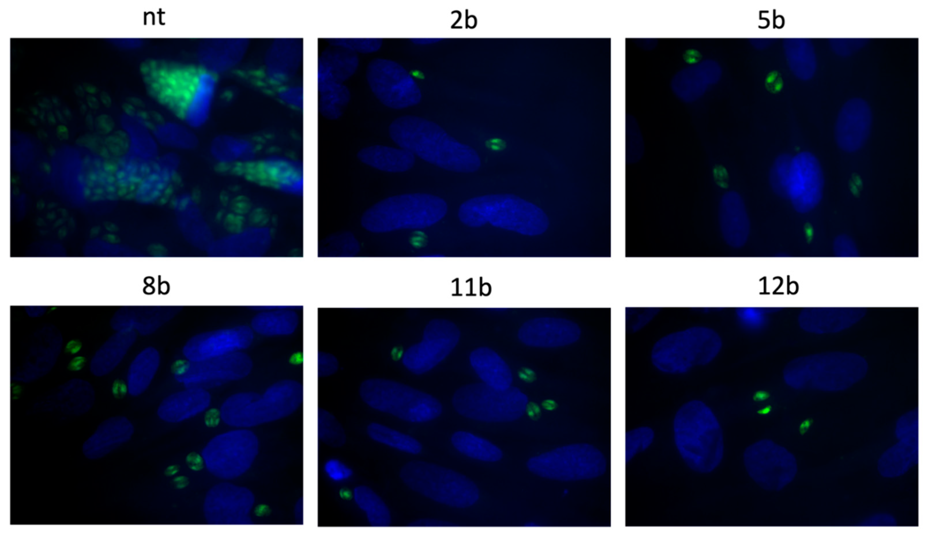 Cells 10 01053 g010 Cells 10 01053 g010