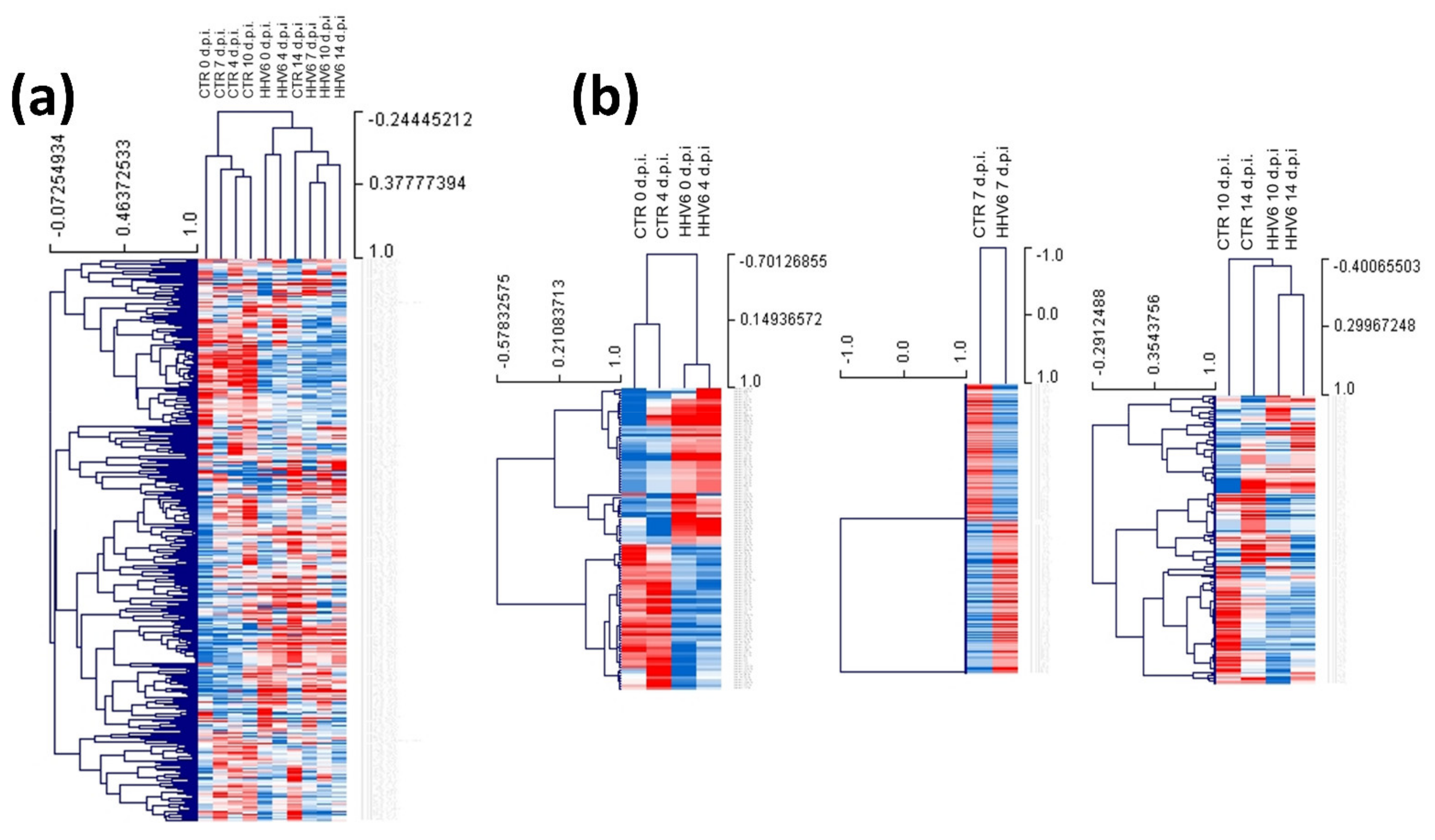 Cells 10 01060 g003 Cells 10 01060 g003