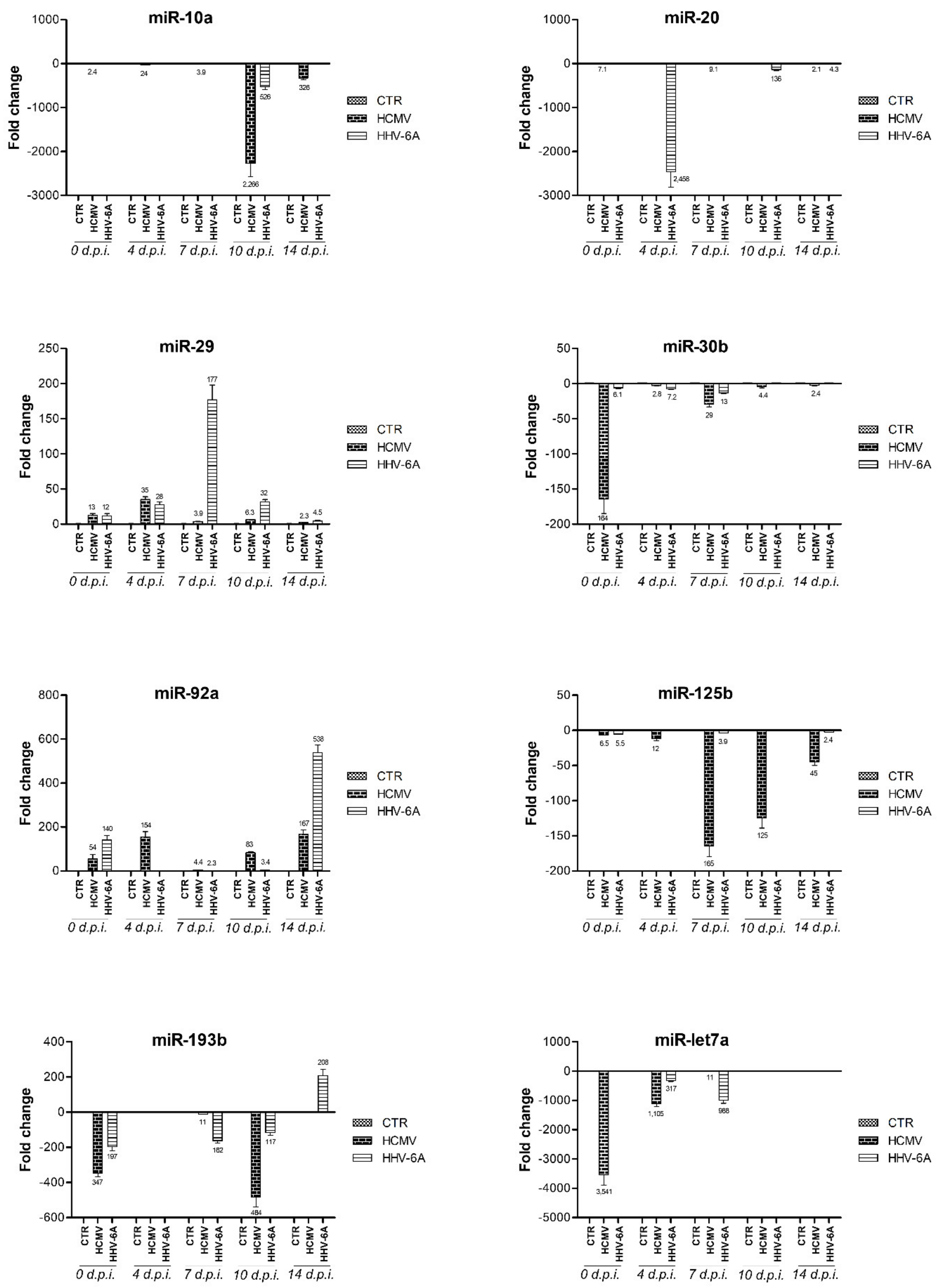 Cells 10 01060 g005 Cells 10 01060 g005