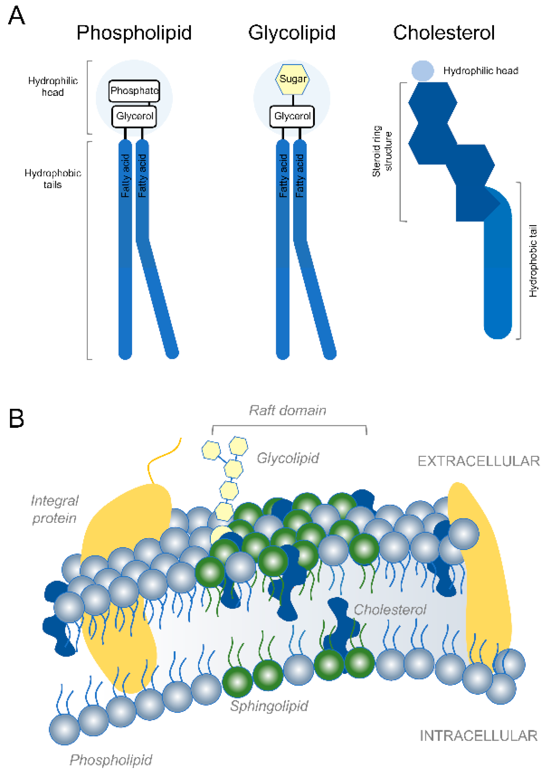 Cells 10 01078 g001 Cells 10 01078 g001
