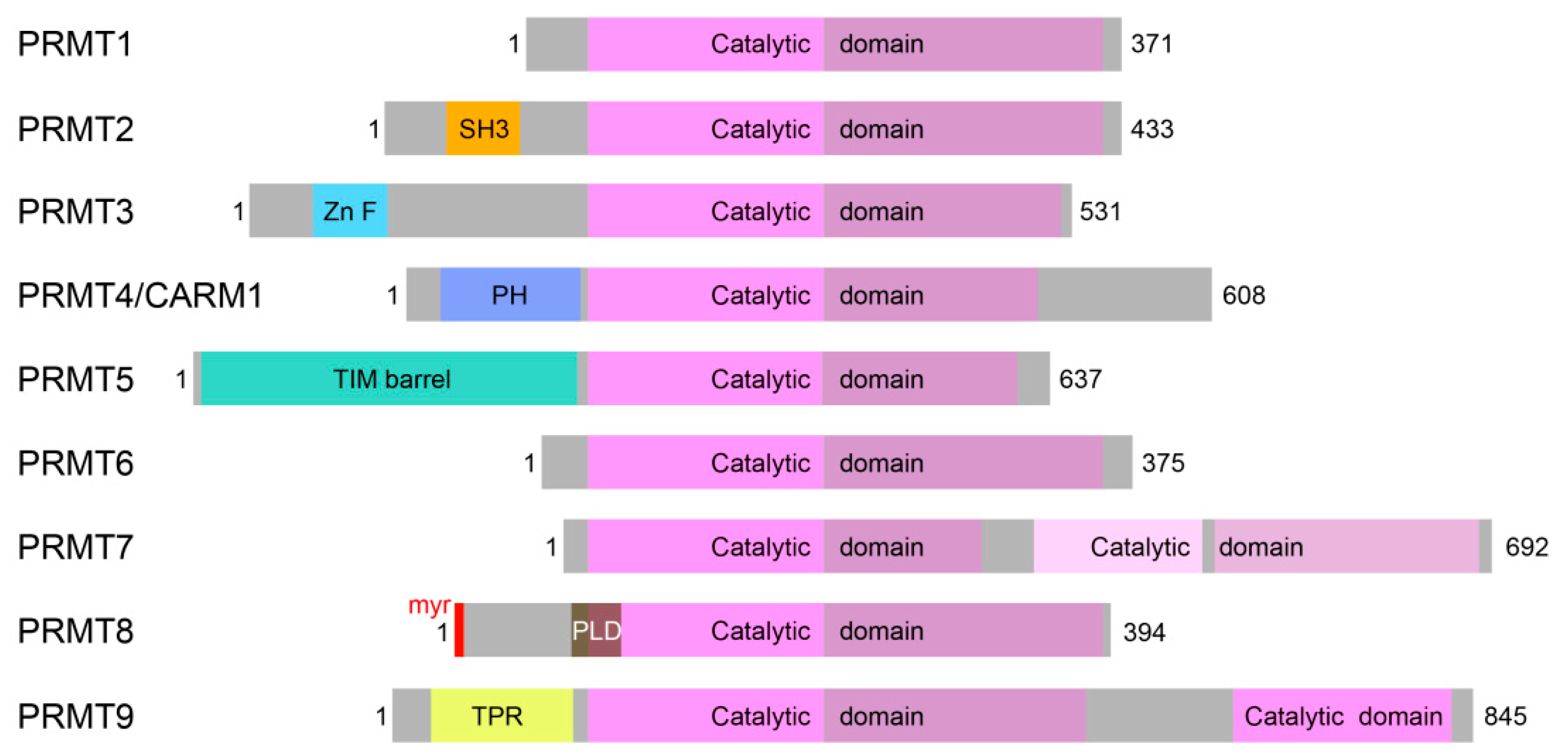 Cells 10 01079 g002 Cells 10 01079 g002