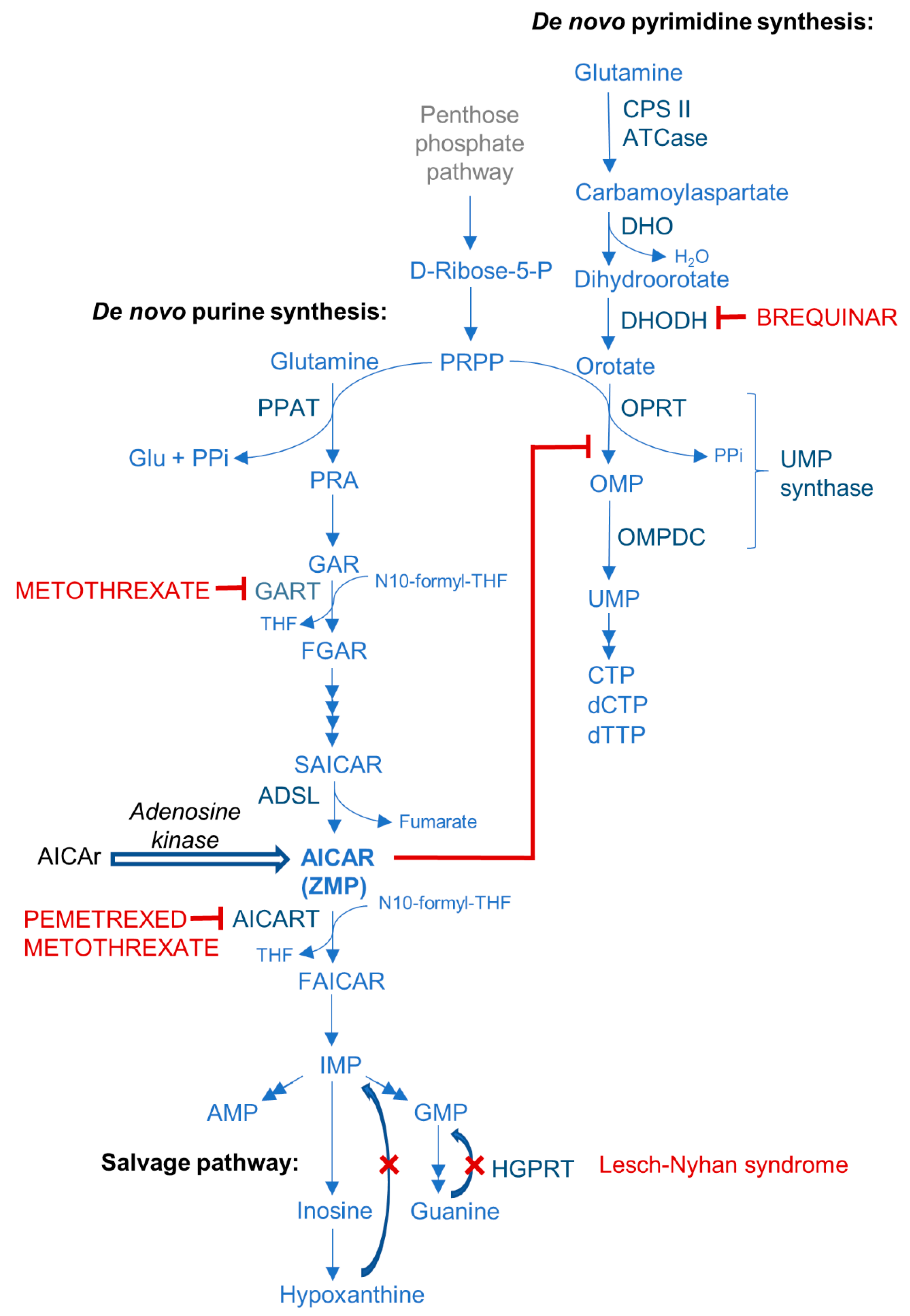 Cells 10 01095 g003 Cells 10 01095 g003