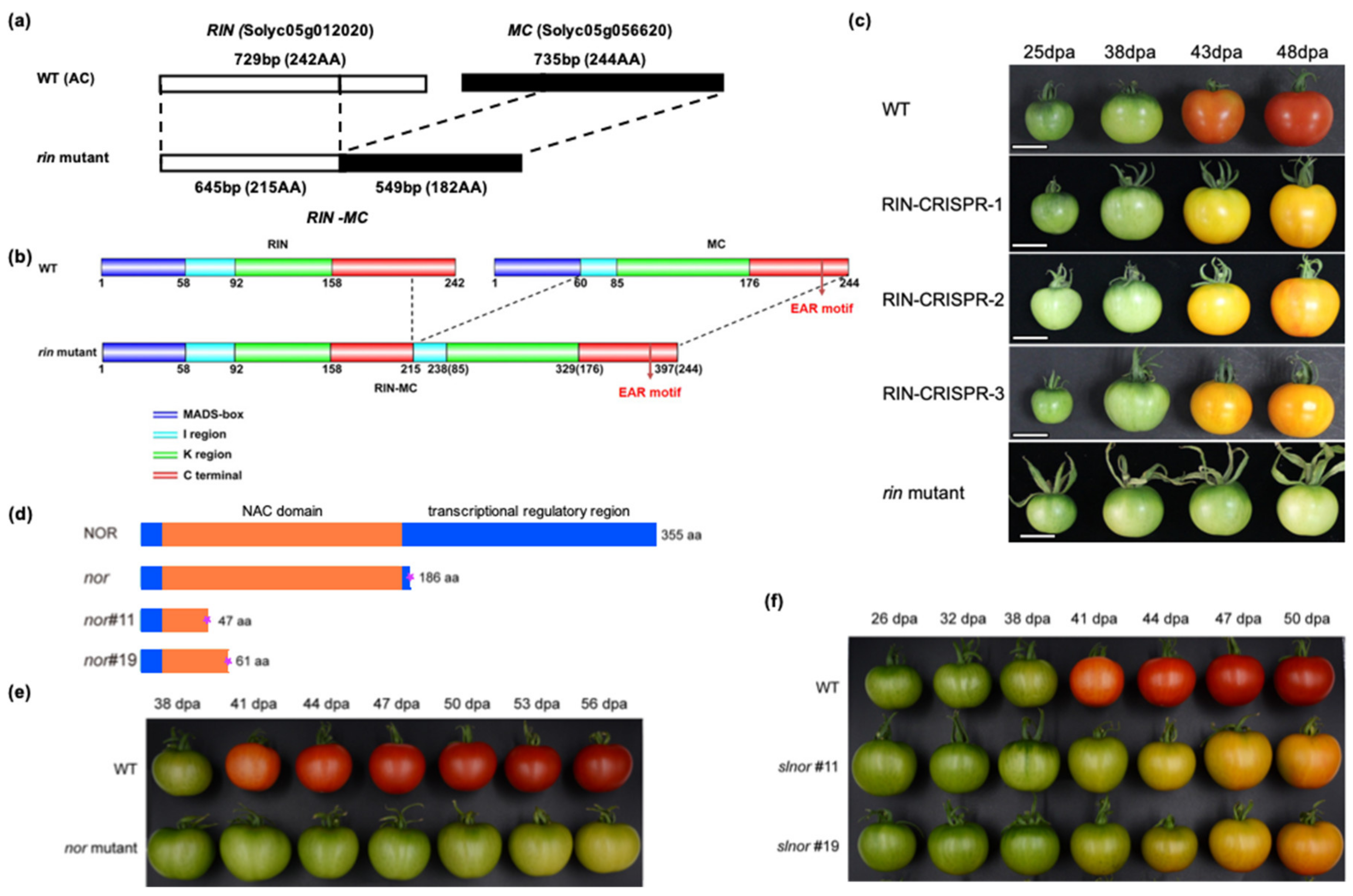 Cells 10 01136 g005