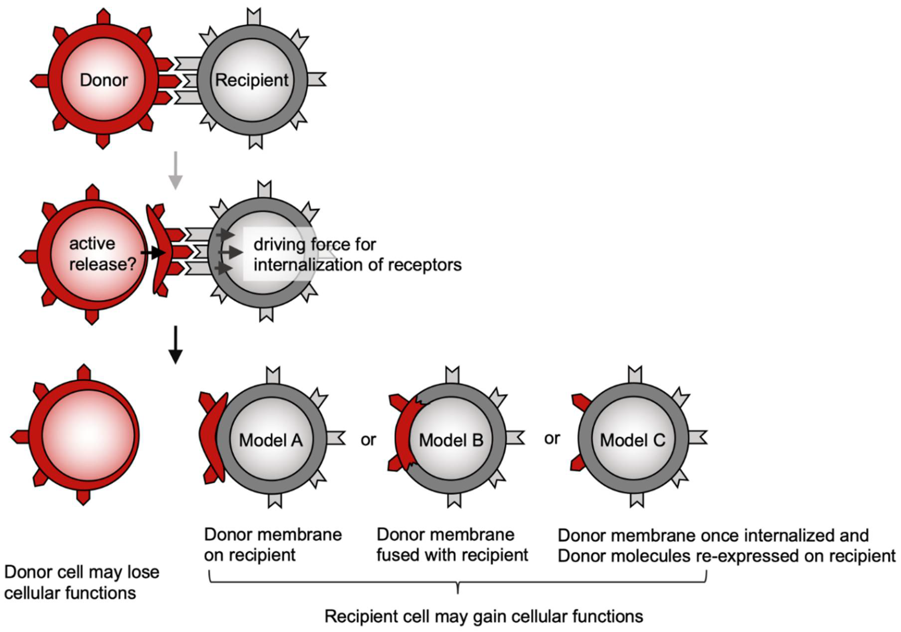Cells 10 01155 g001 Cells 10 01155 g001