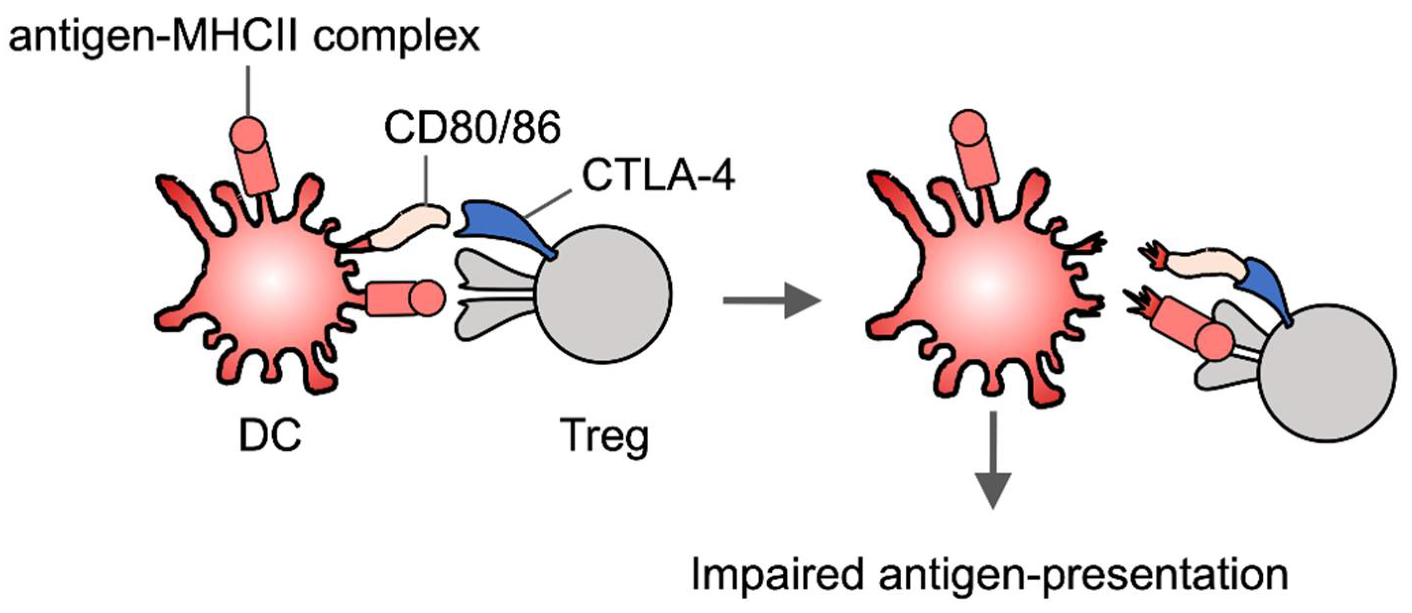 Cells 10 01155 g004 Cells 10 01155 g004