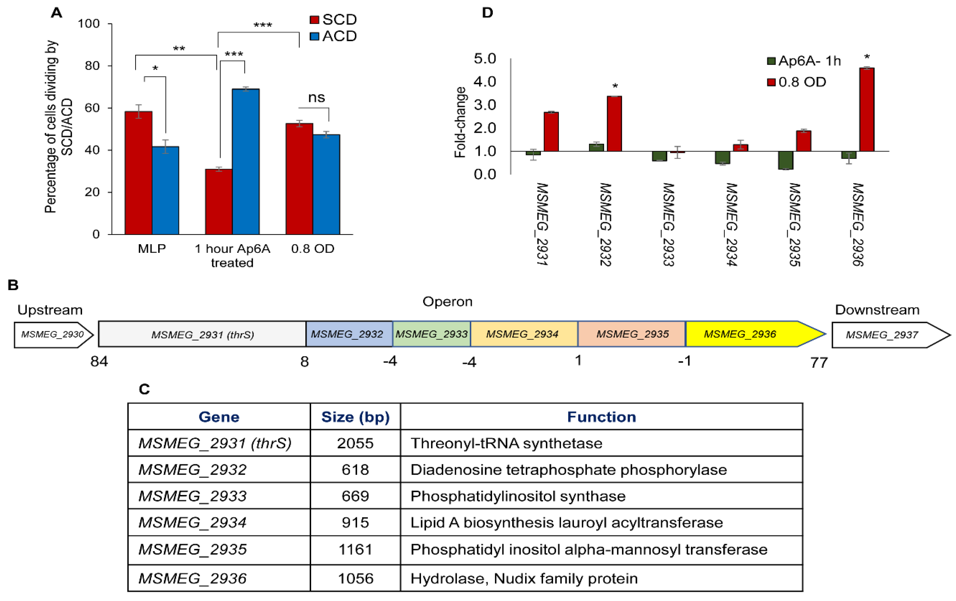 Cells 10 01160 g006 Cells 10 01160 g006
