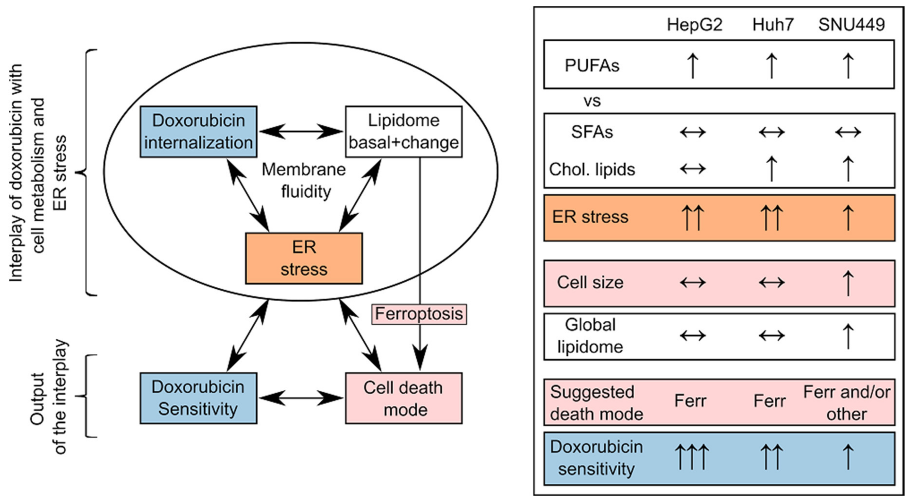Cells 10 01163 sch003