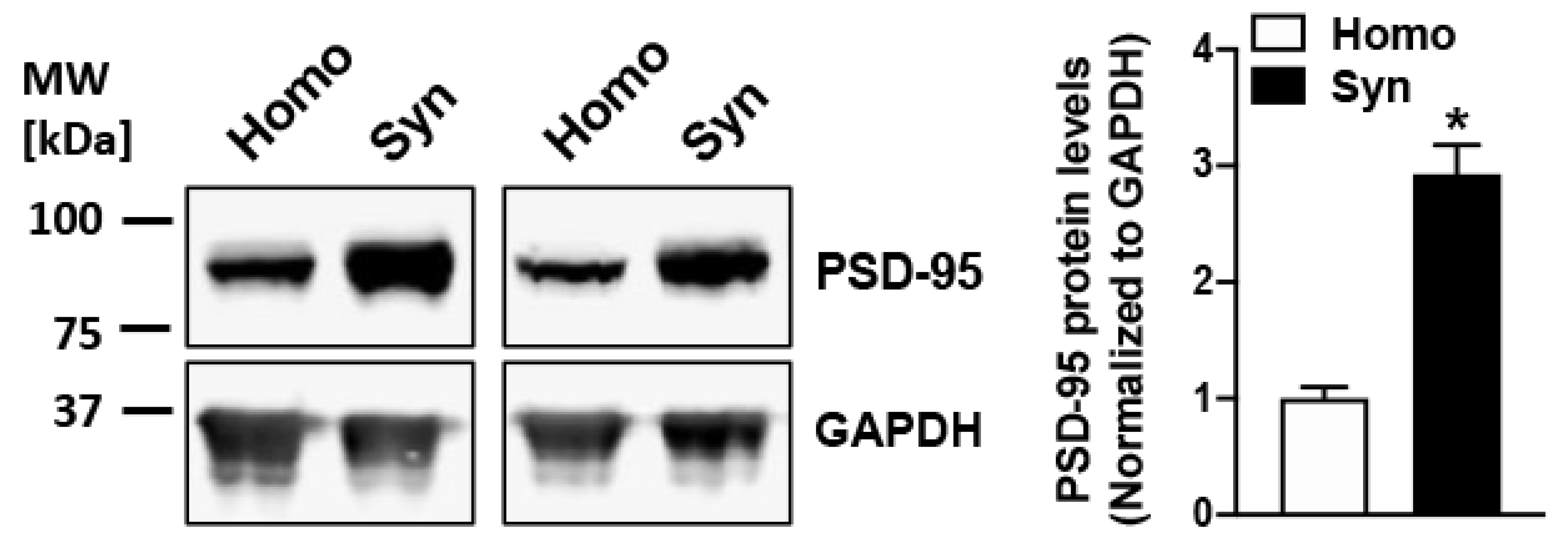 Cells 10 01174 g001 Cells 10 01174 g001