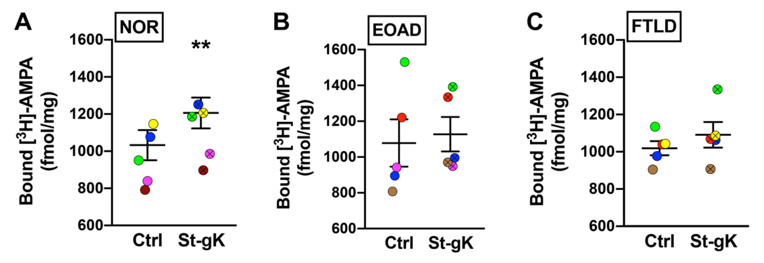 Cells 10 01174 g004 Cells 10 01174 g004