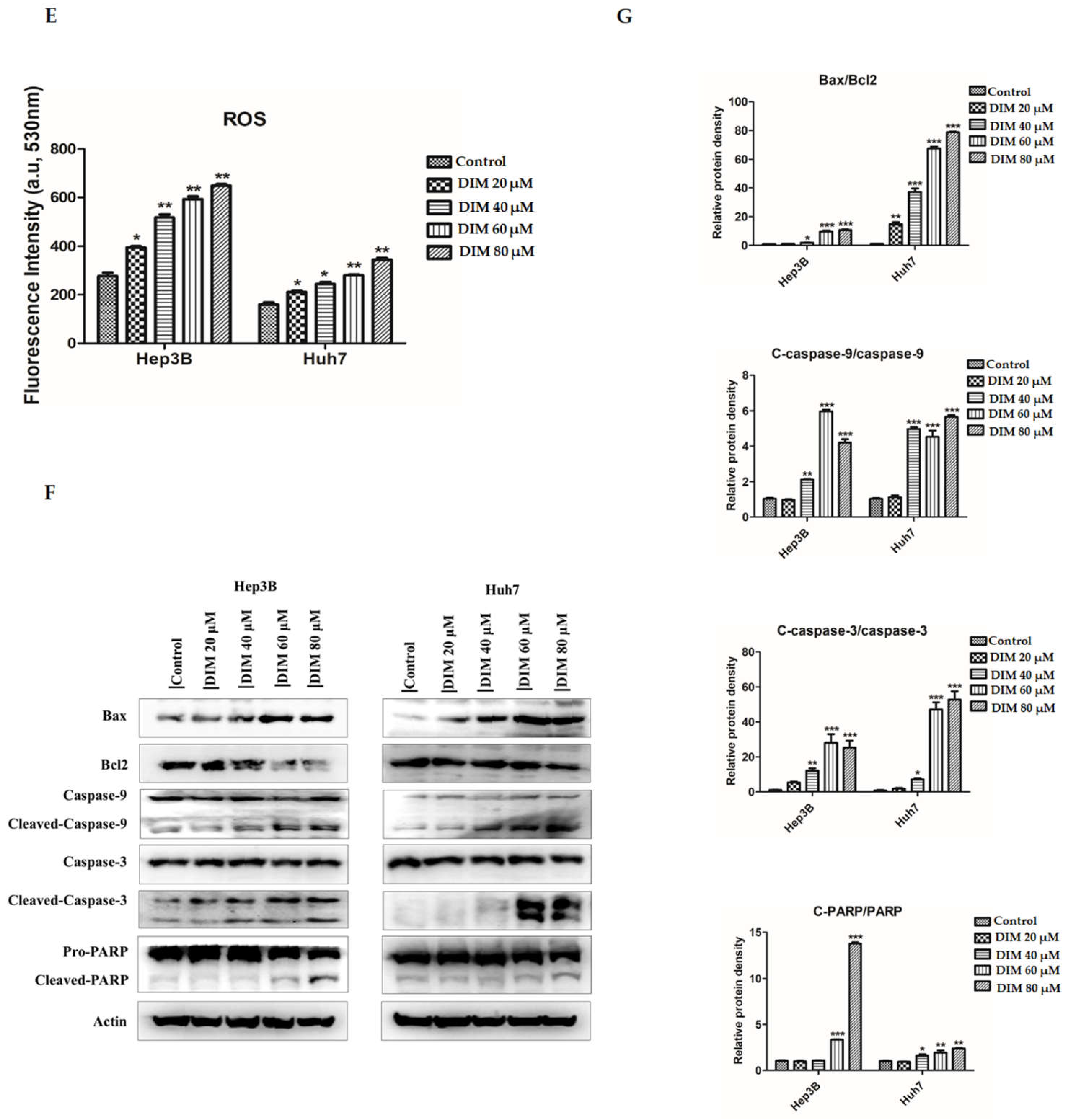 Cells 10 01178 g004b
