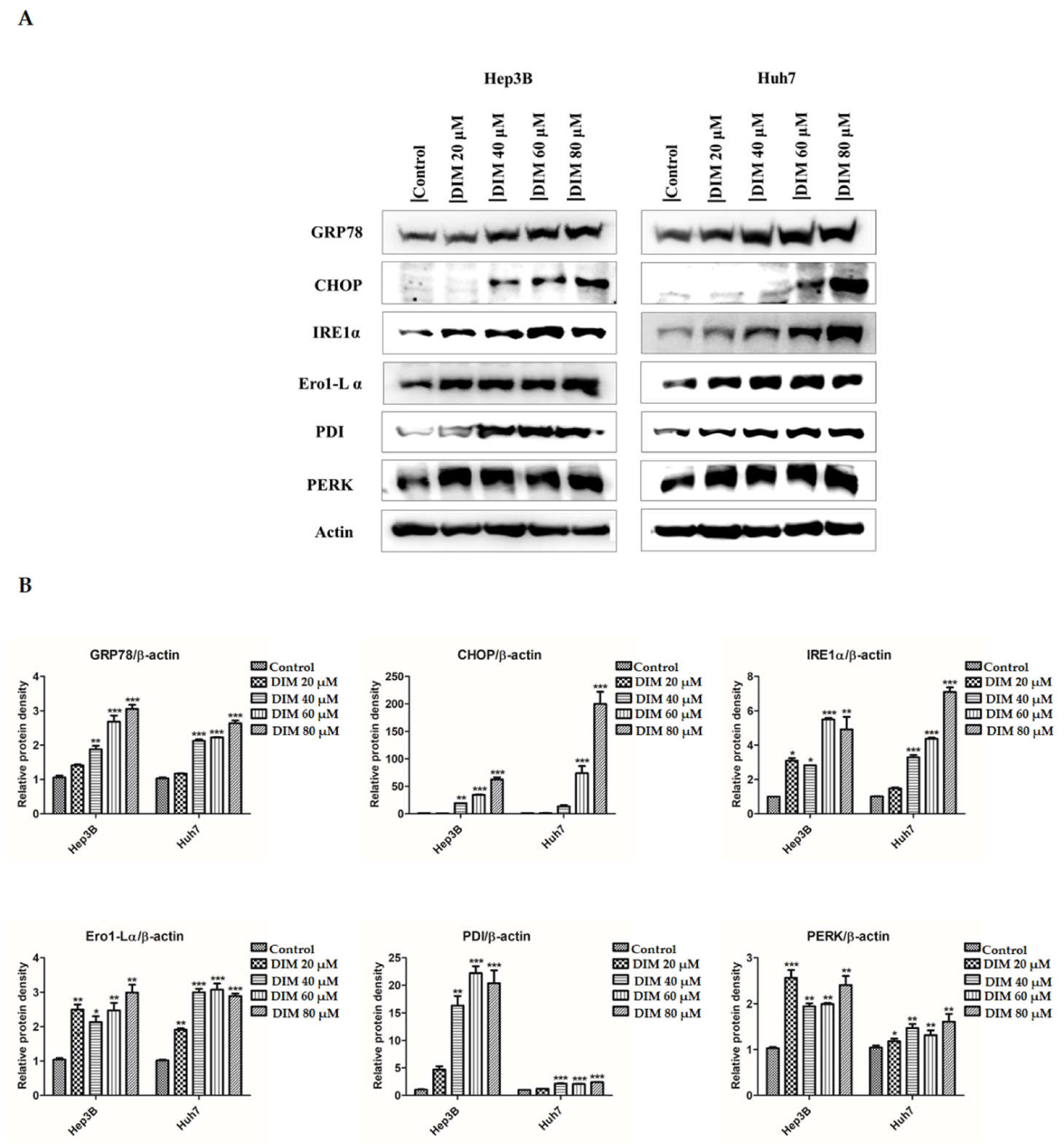 Cells 10 01178 g005a