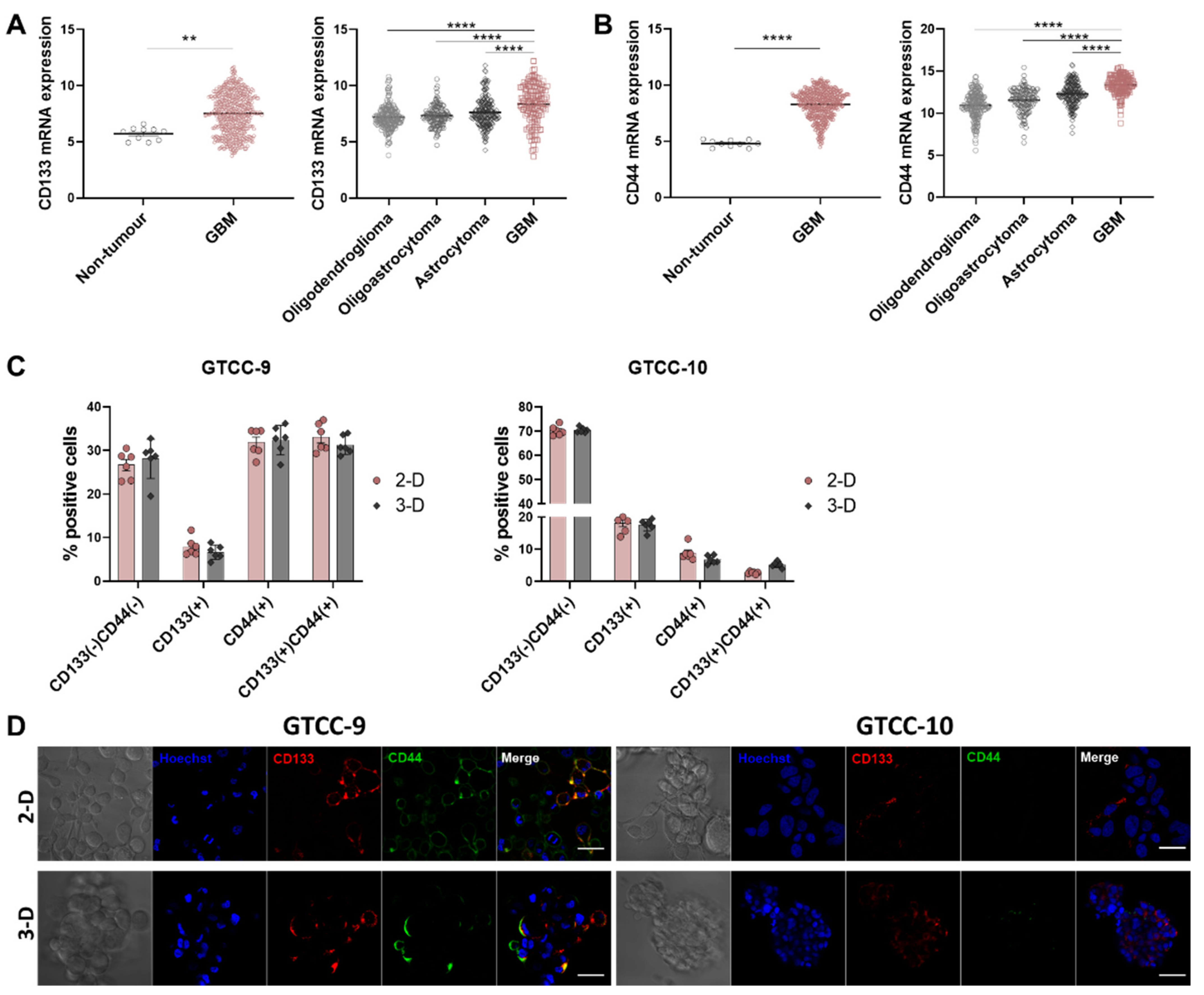 Cells 10 01182 g001 Cells 10 01182 g001