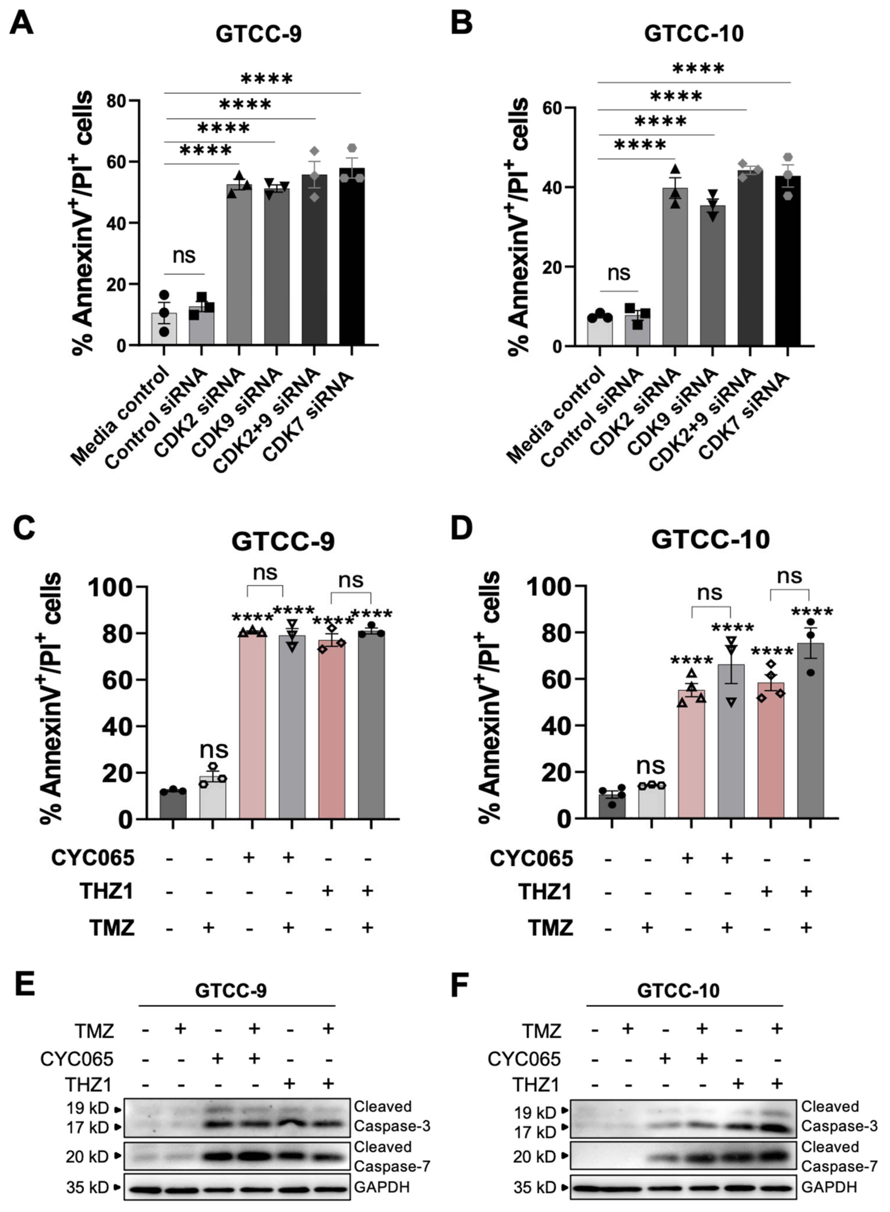 Cells 10 01182 g004 Cells 10 01182 g004