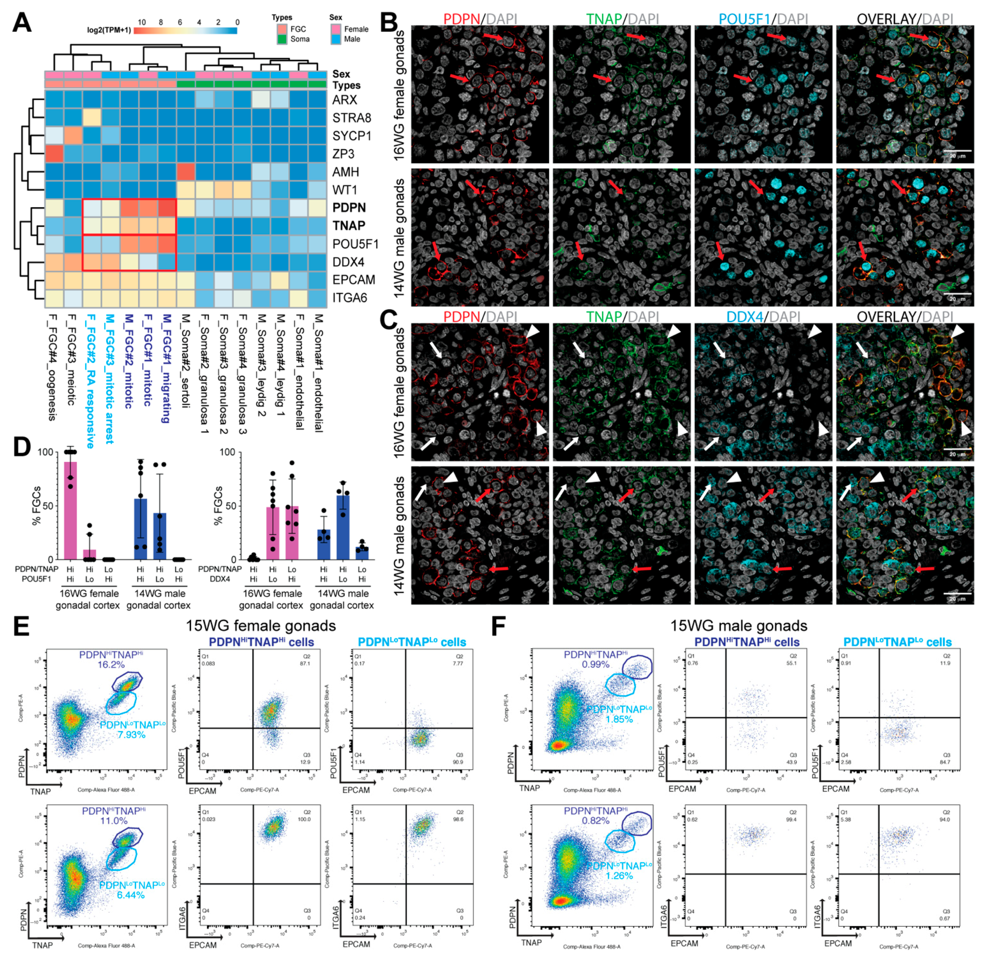 Cells 10 01214 g001 Cells 10 01214 g001