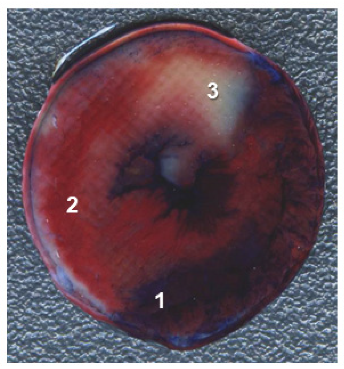 Cells 10 01223 g002 Cells 10 01223 g002