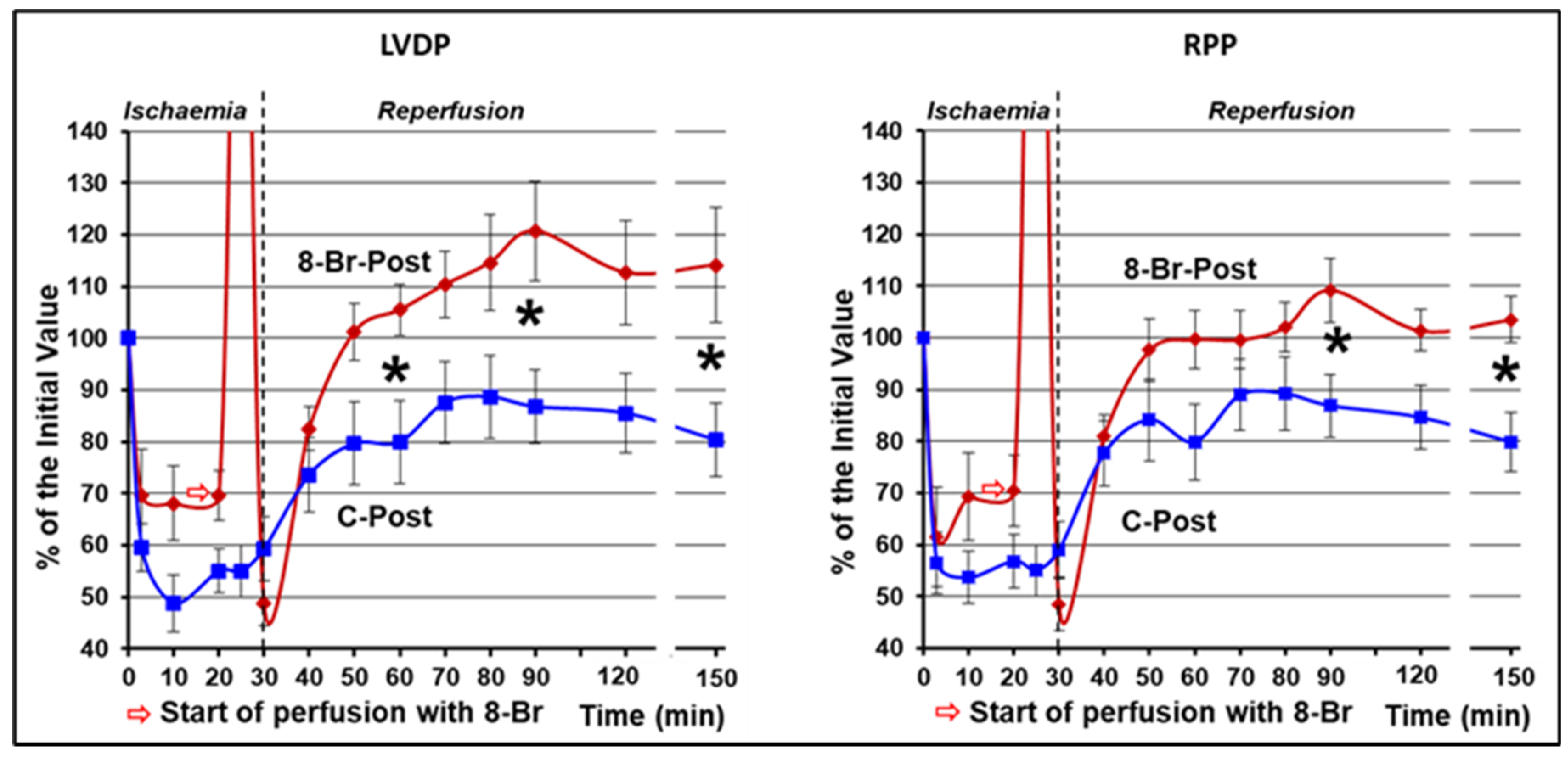 Cells 10 01223 g006 Cells 10 01223 g006