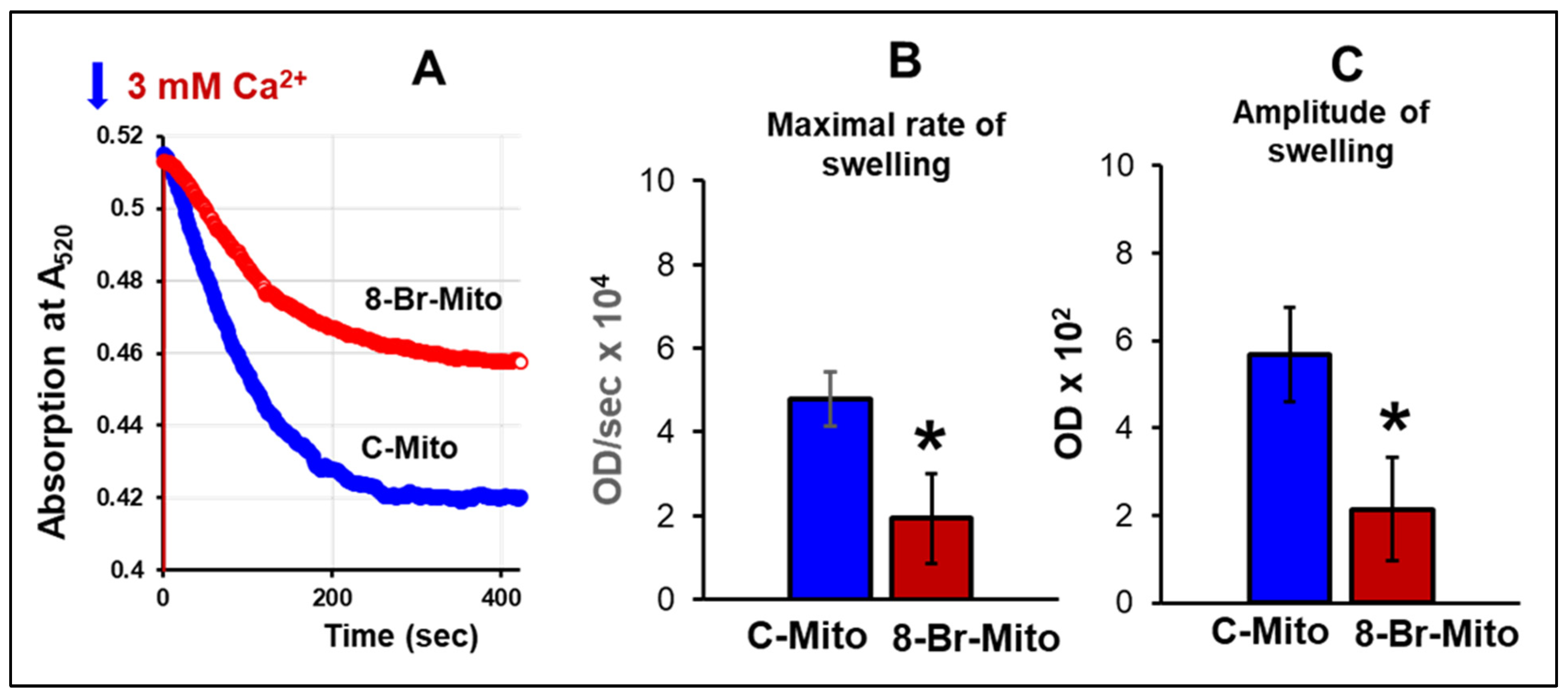 Cells 10 01223 g008 Cells 10 01223 g008