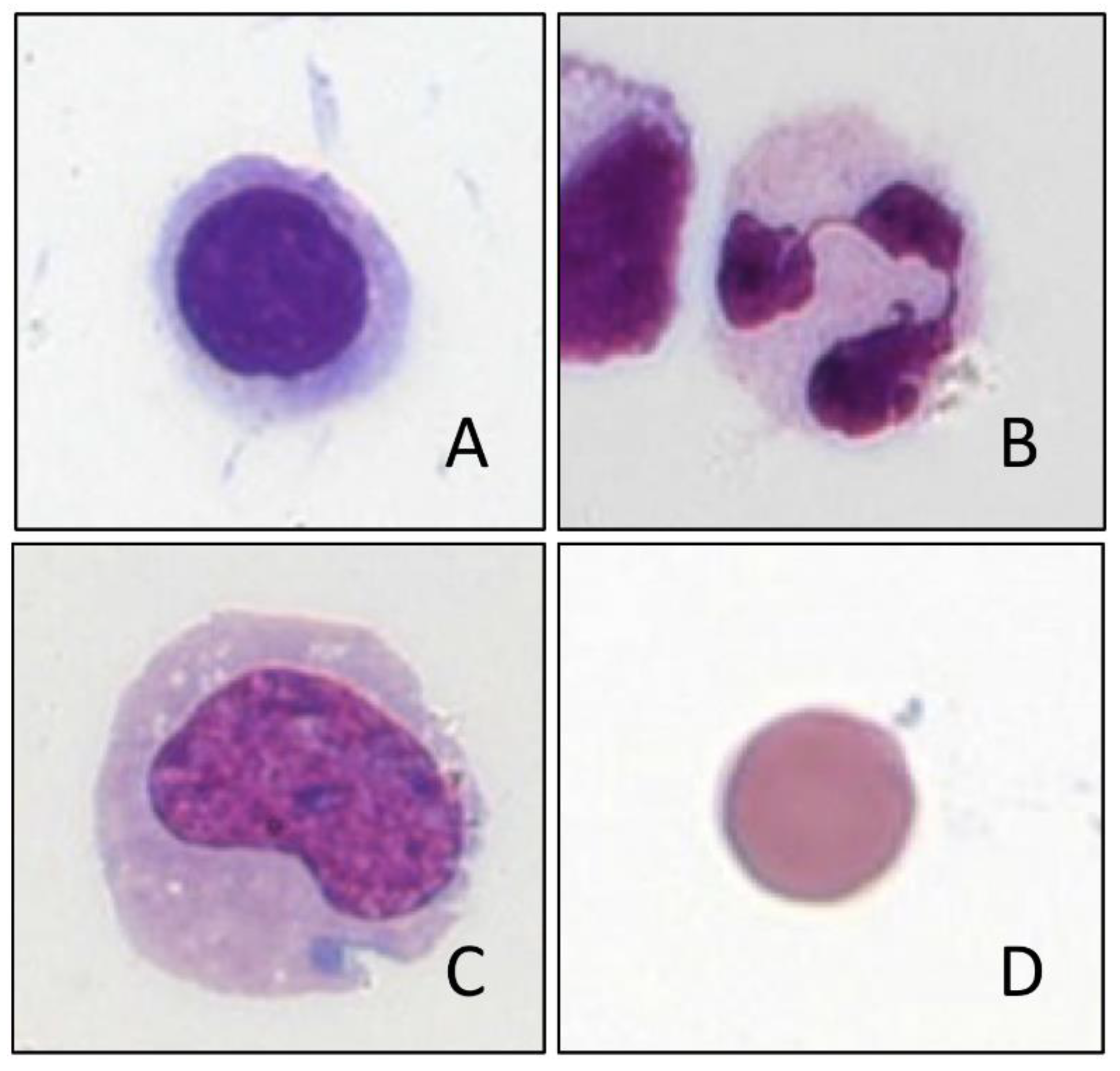 Cells 10 01232 g001 Cells 10 01232 g001