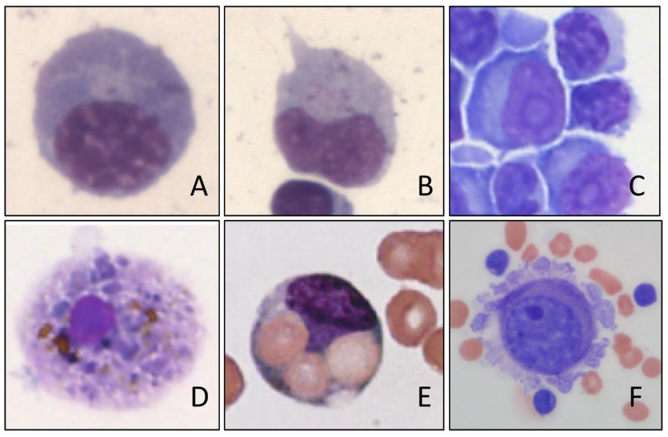 Cells 10 01232 g002 Cells 10 01232 g002