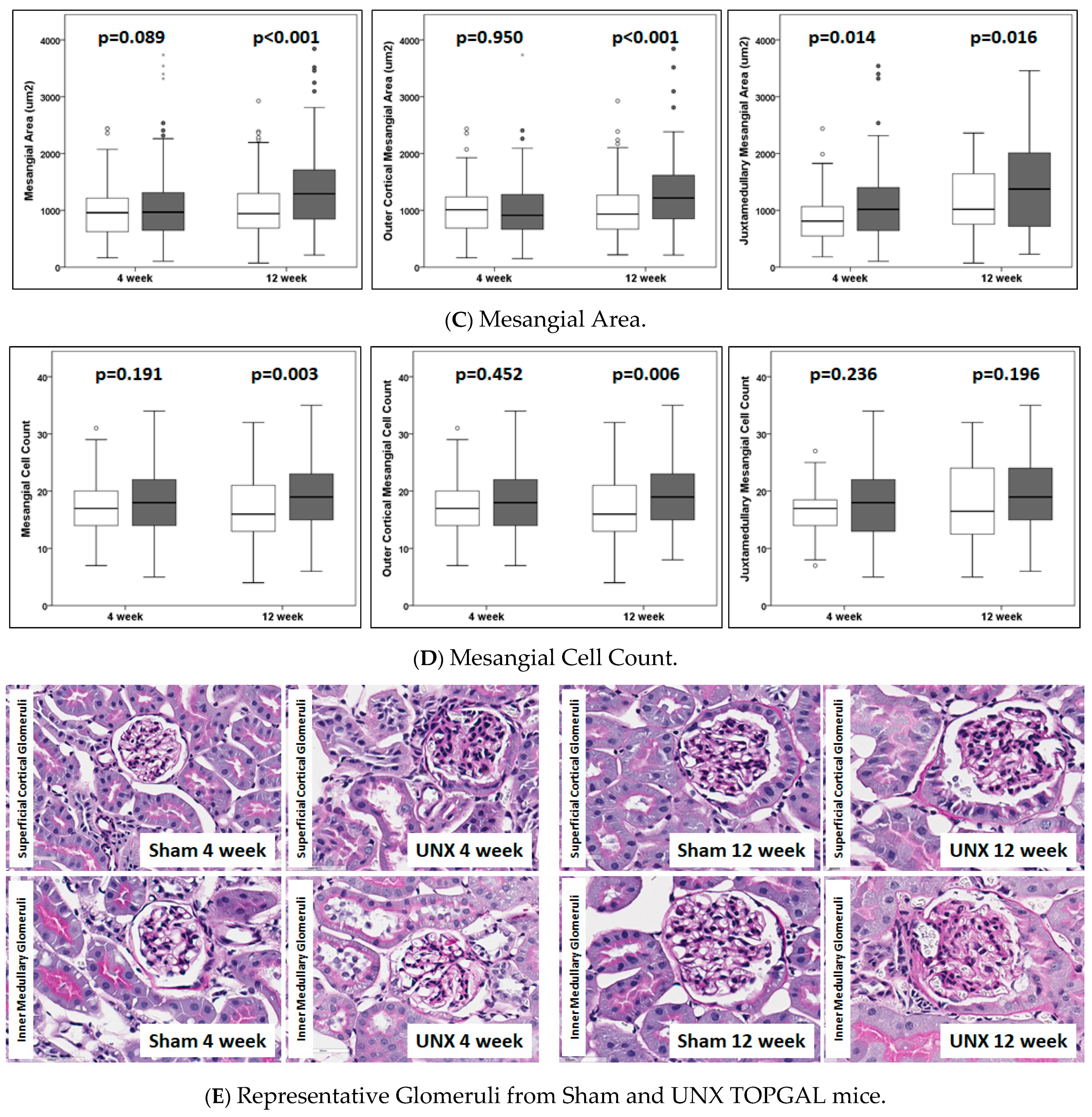 Cells 10 01253 g002b Cells 10 01253 g002b