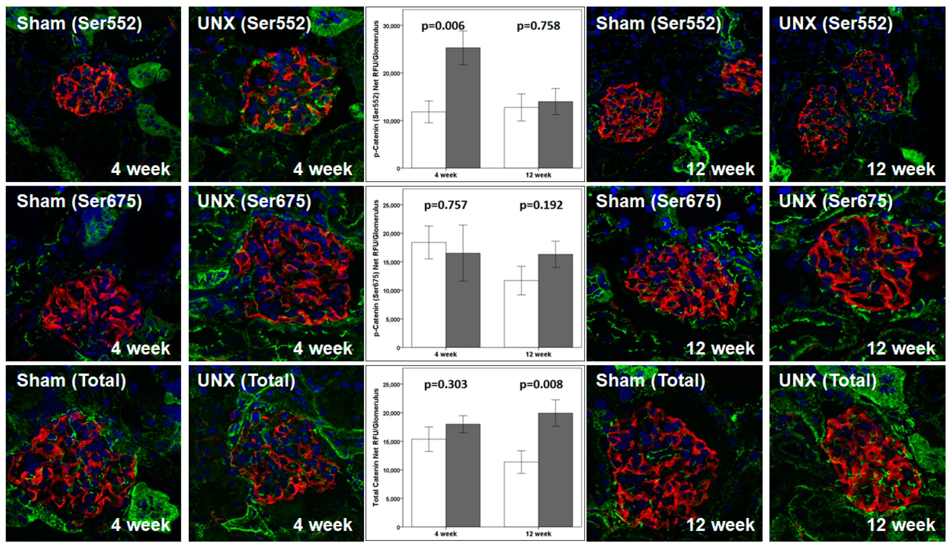 Cells 10 01253 g006 Cells 10 01253 g006