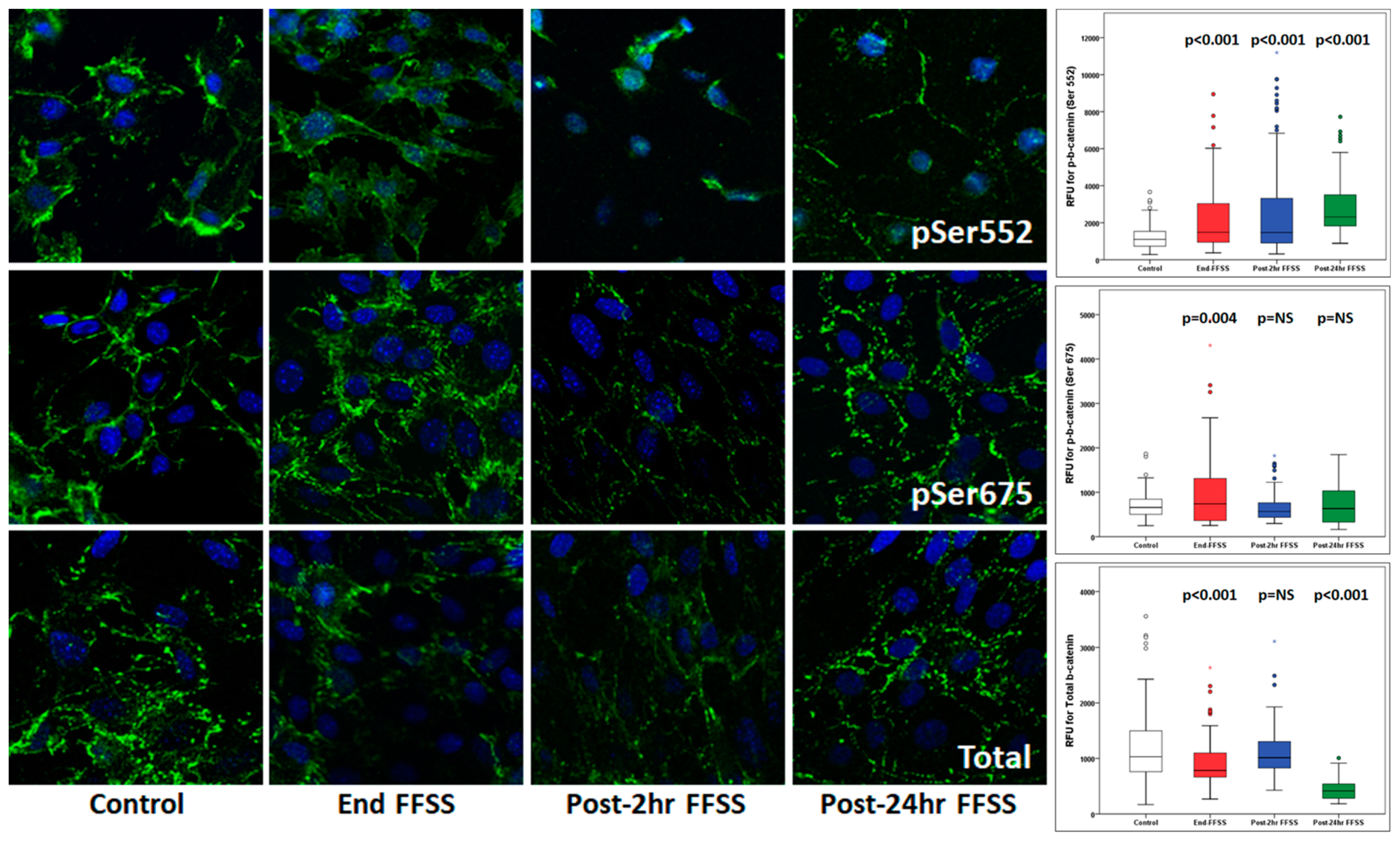Cells 10 01253 g007 Cells 10 01253 g007