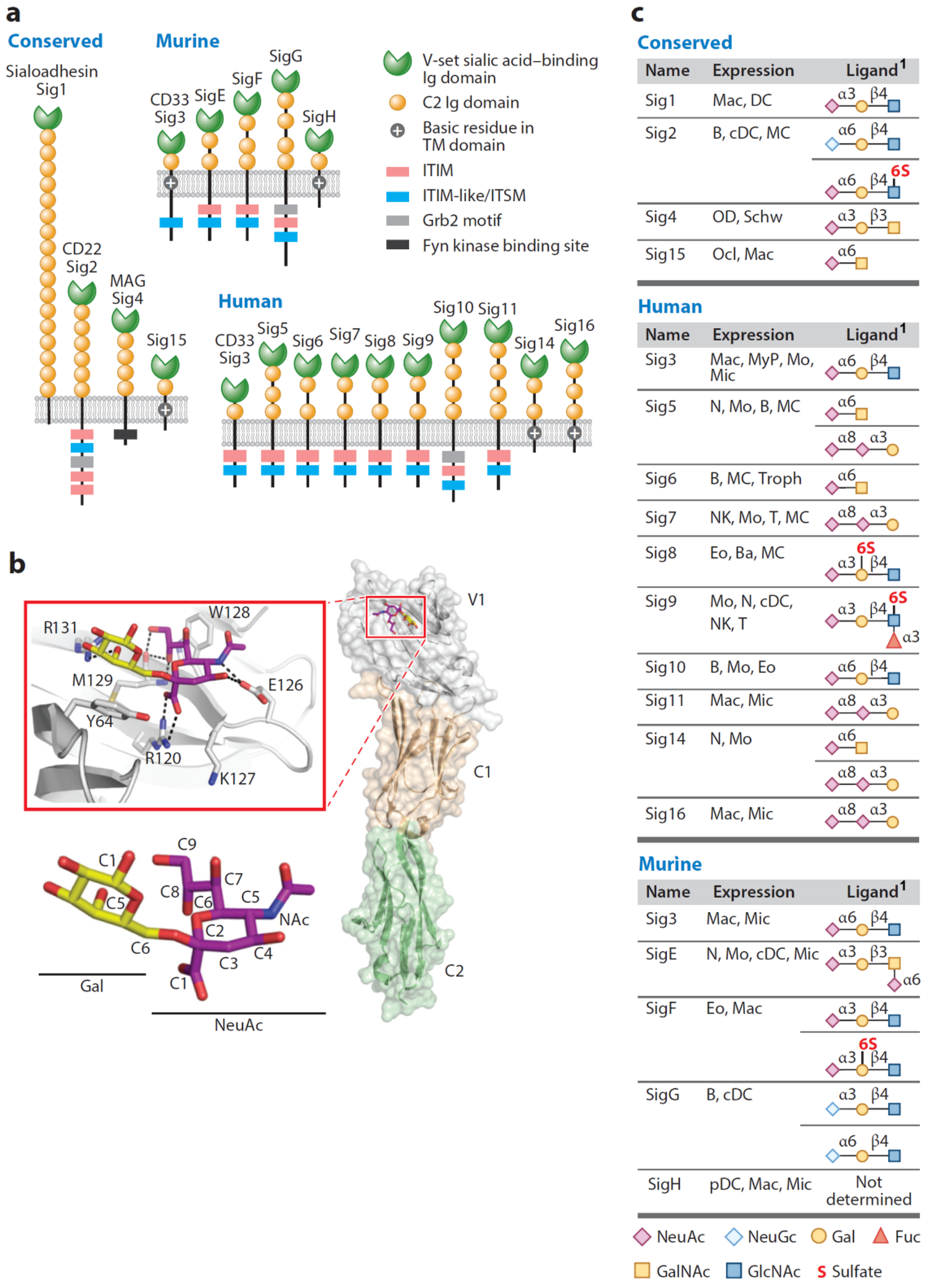 Cells 10 01260 g001 Cells 10 01260 g001