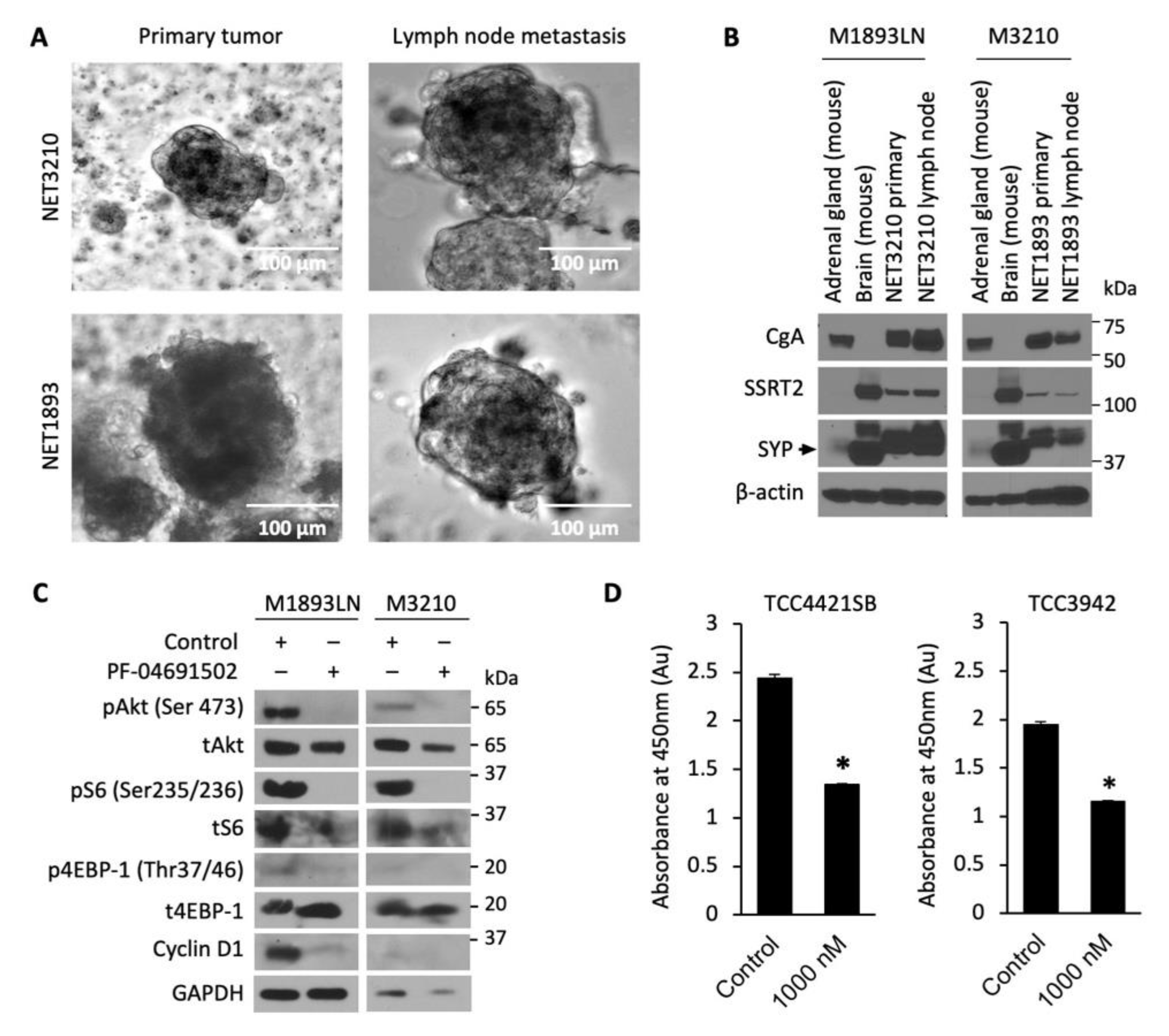 Cells 10 01261 g004 Cells 10 01261 g004