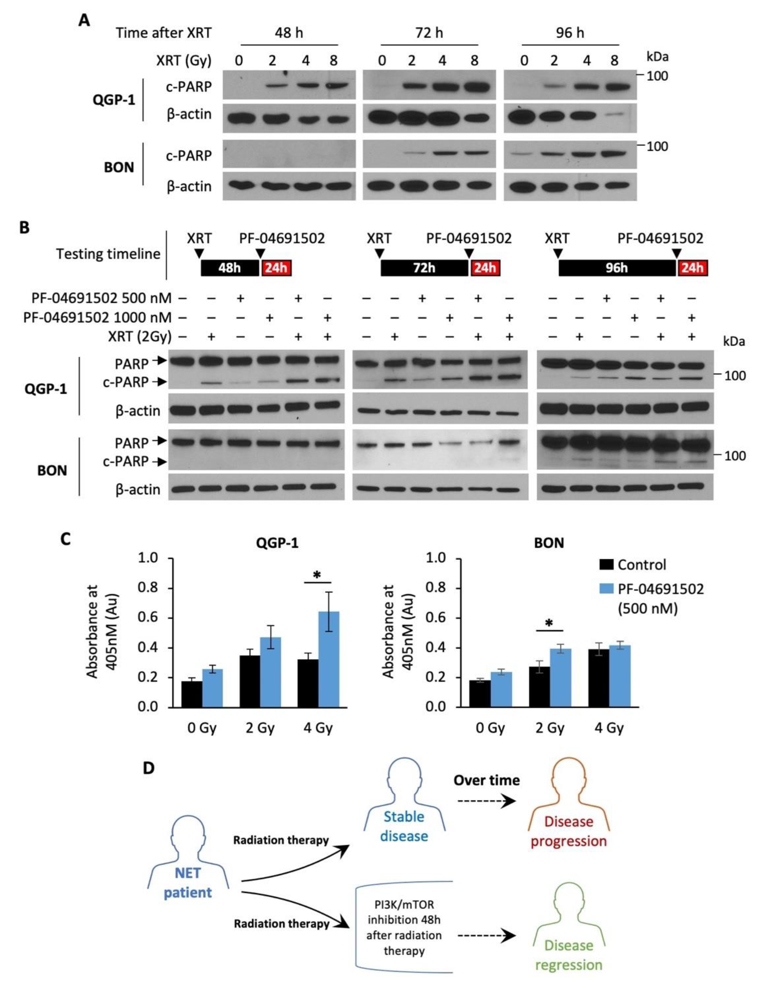 Cells 10 01261 g005 Cells 10 01261 g005
