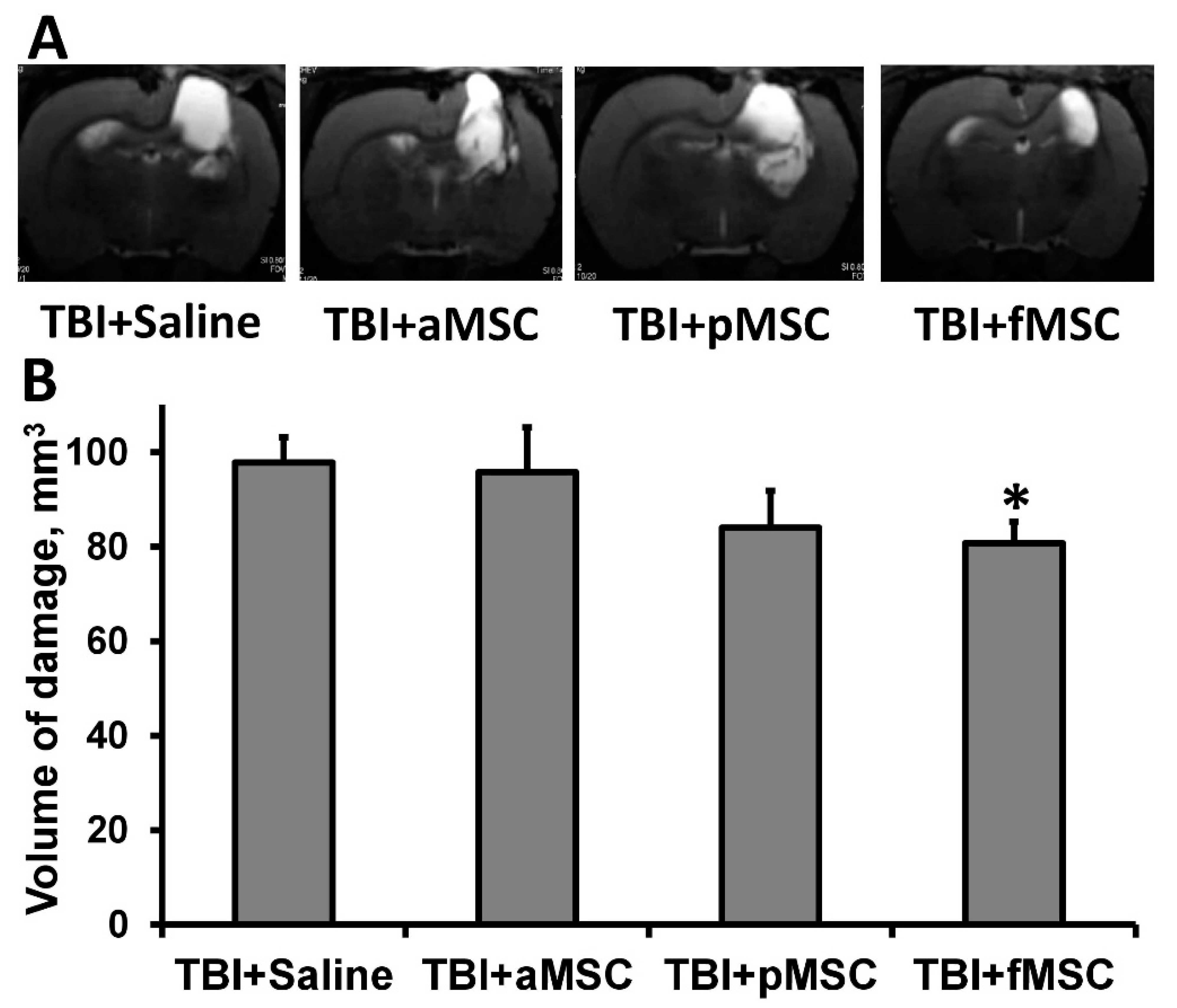 Cells 10 01273 g001 Cells 10 01273 g001