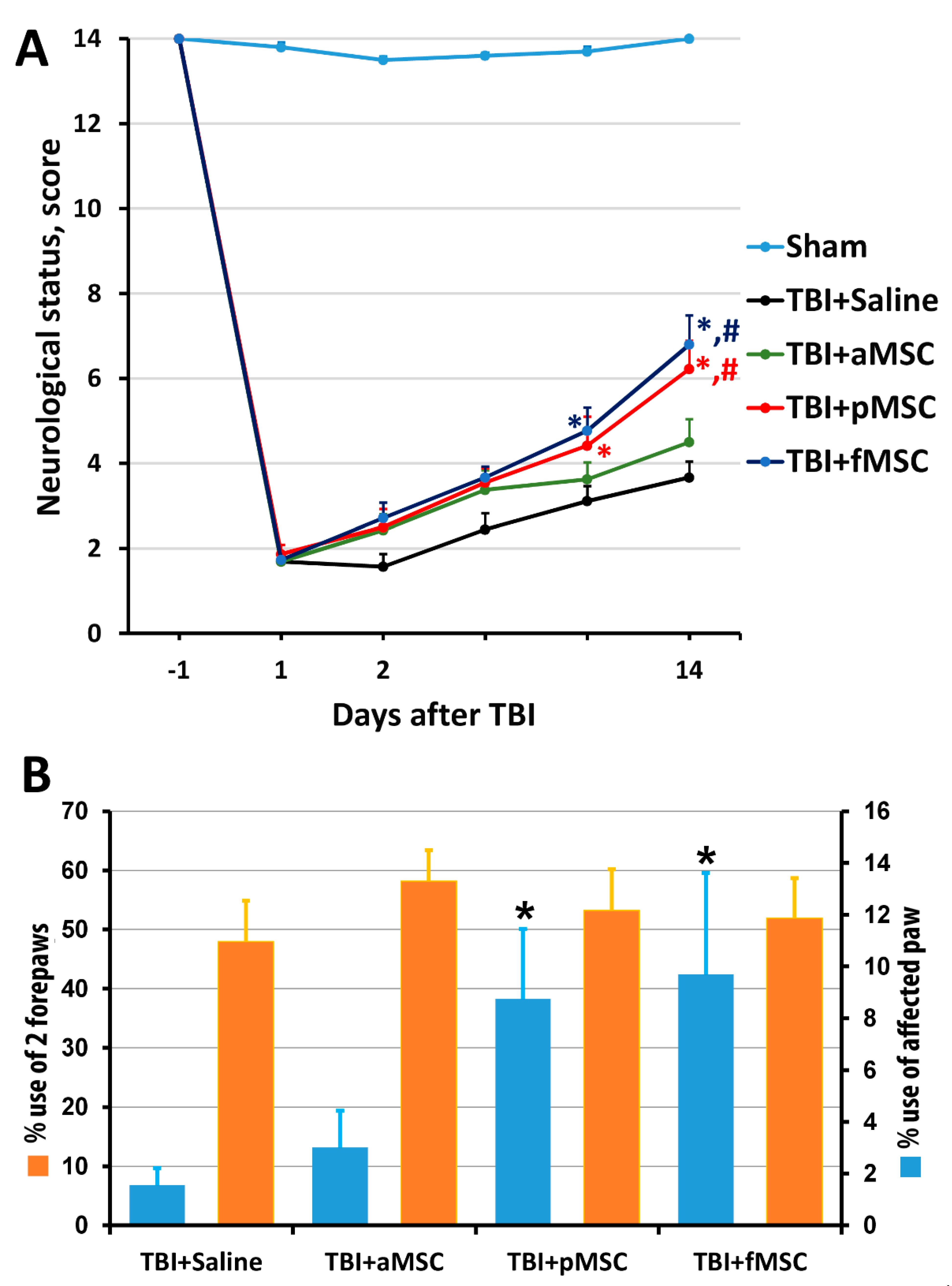 Cells 10 01273 g002 Cells 10 01273 g002