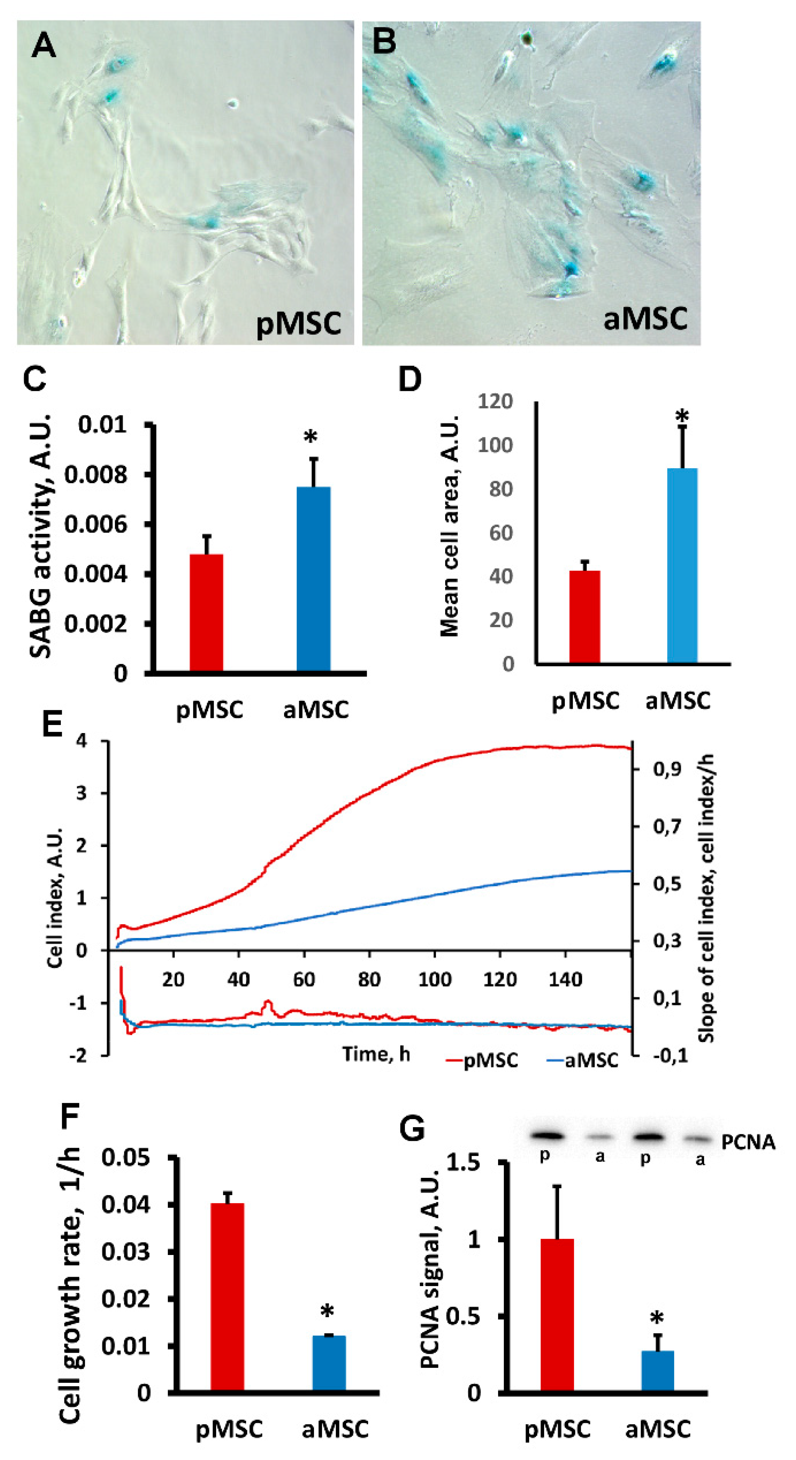 Cells 10 01273 g003 Cells 10 01273 g003