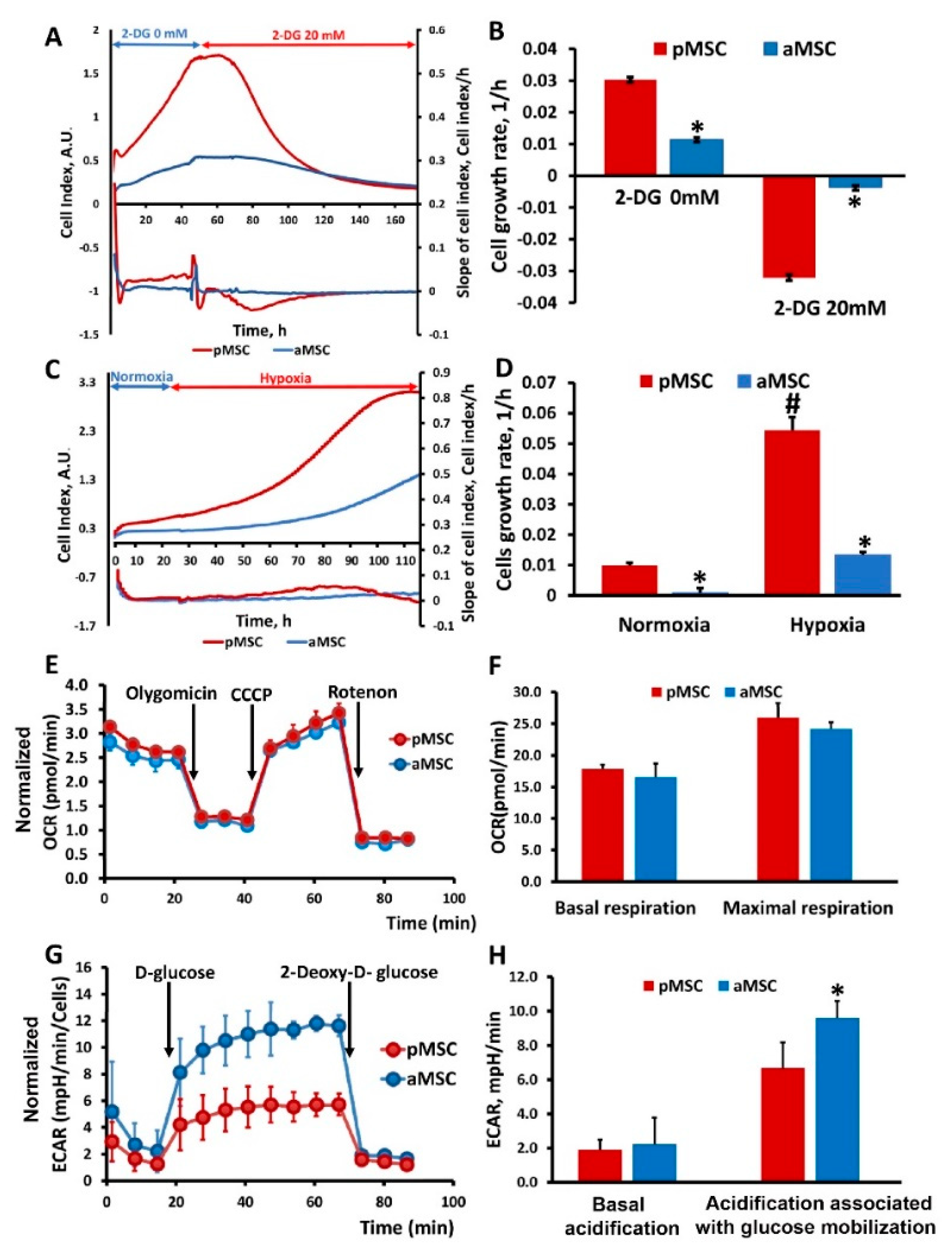 Cells 10 01273 g004 Cells 10 01273 g004