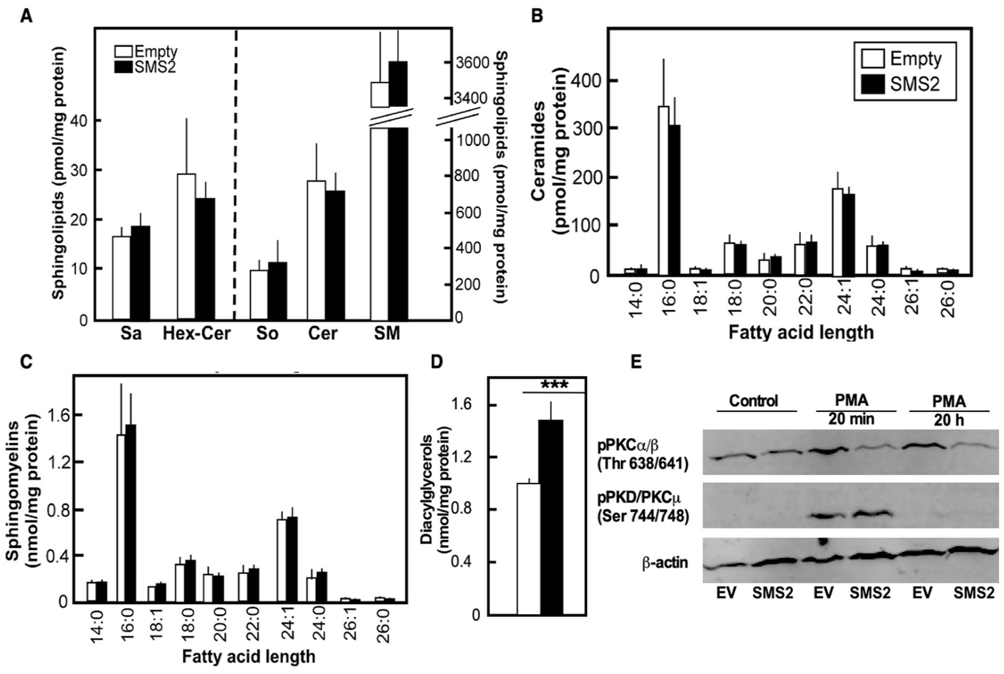 Cells 10 01278 g002 Cells 10 01278 g002