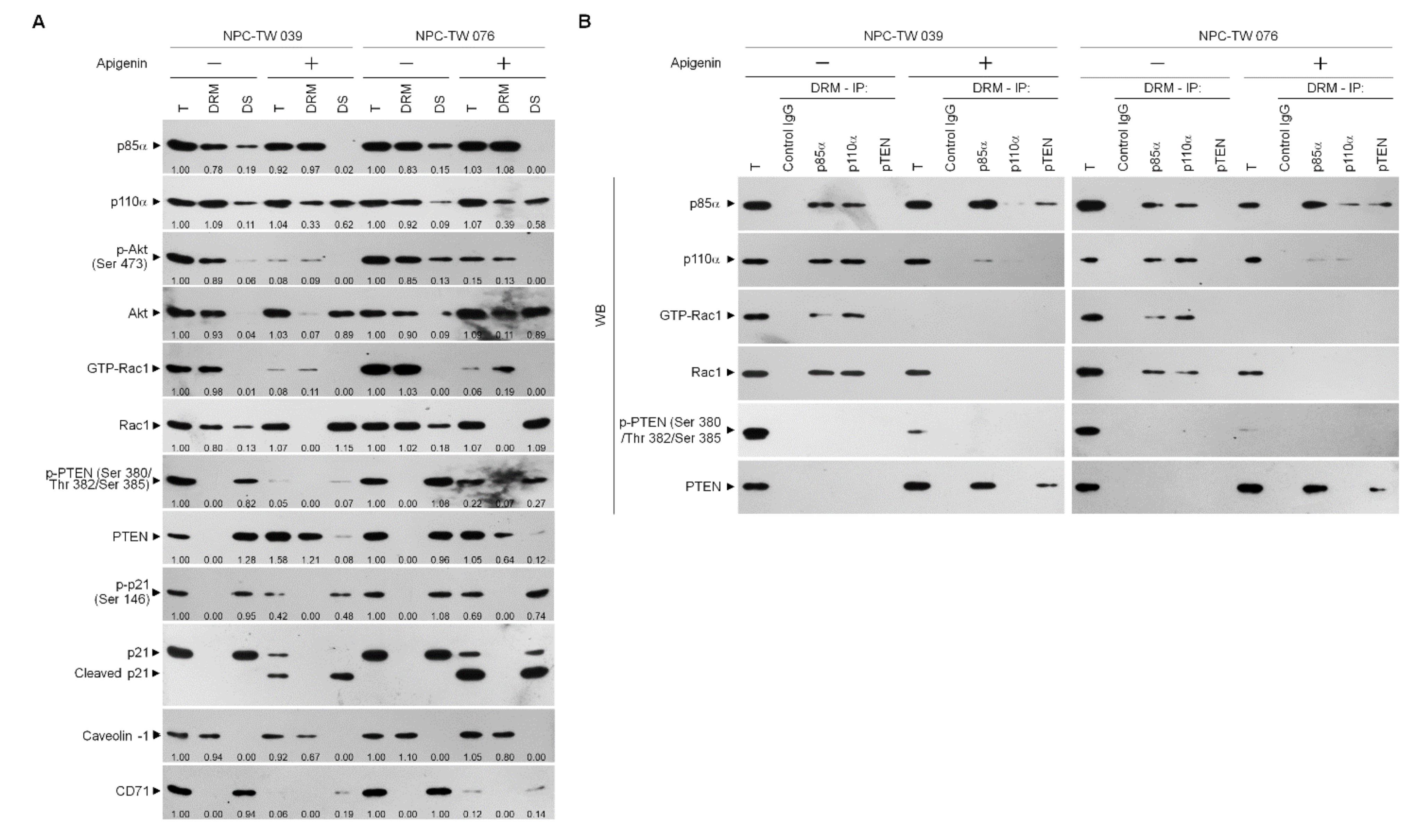 Cells 10 01280 g005 Cells 10 01280 g005