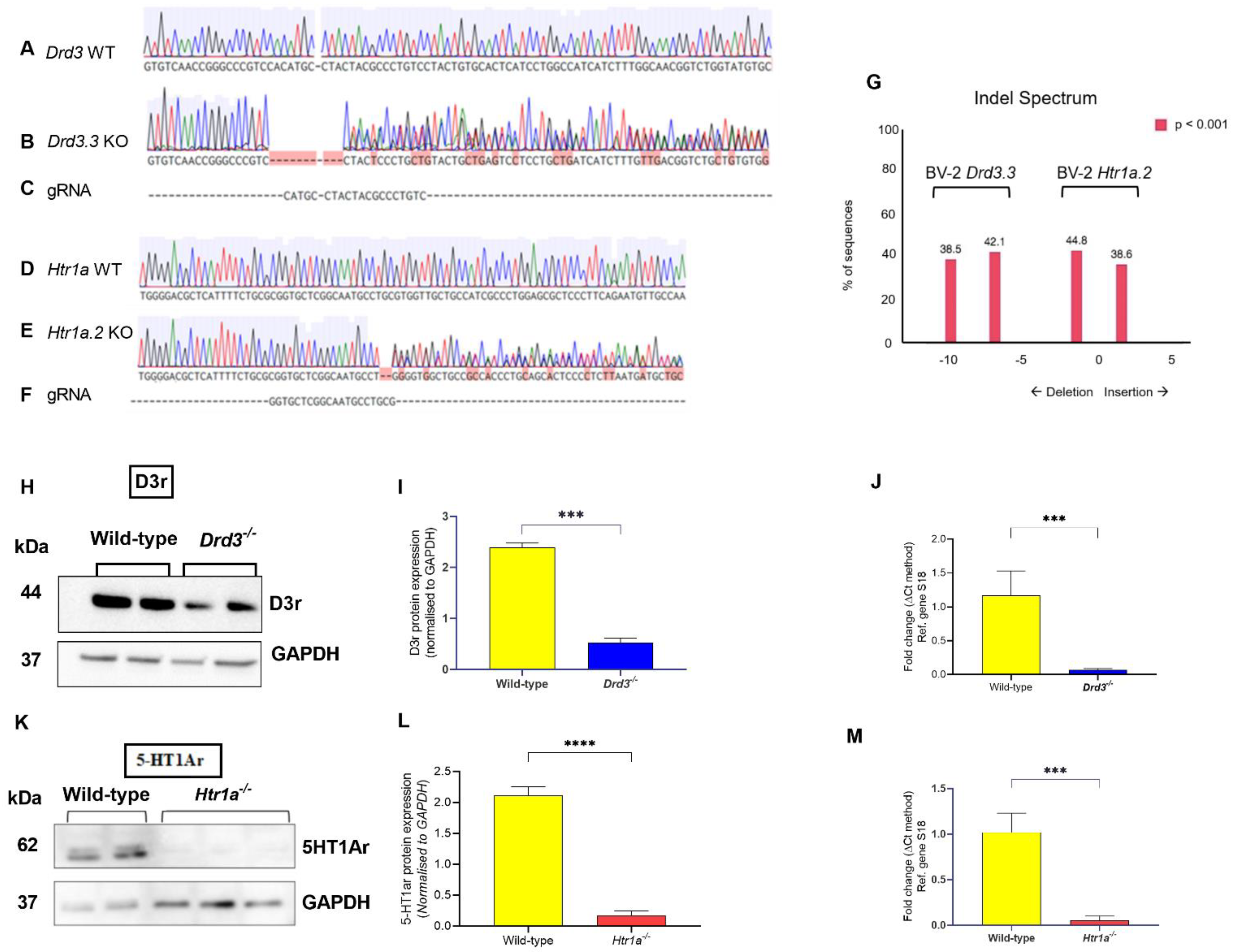 Cells 10 01312 g001 Cells 10 01312 g001
