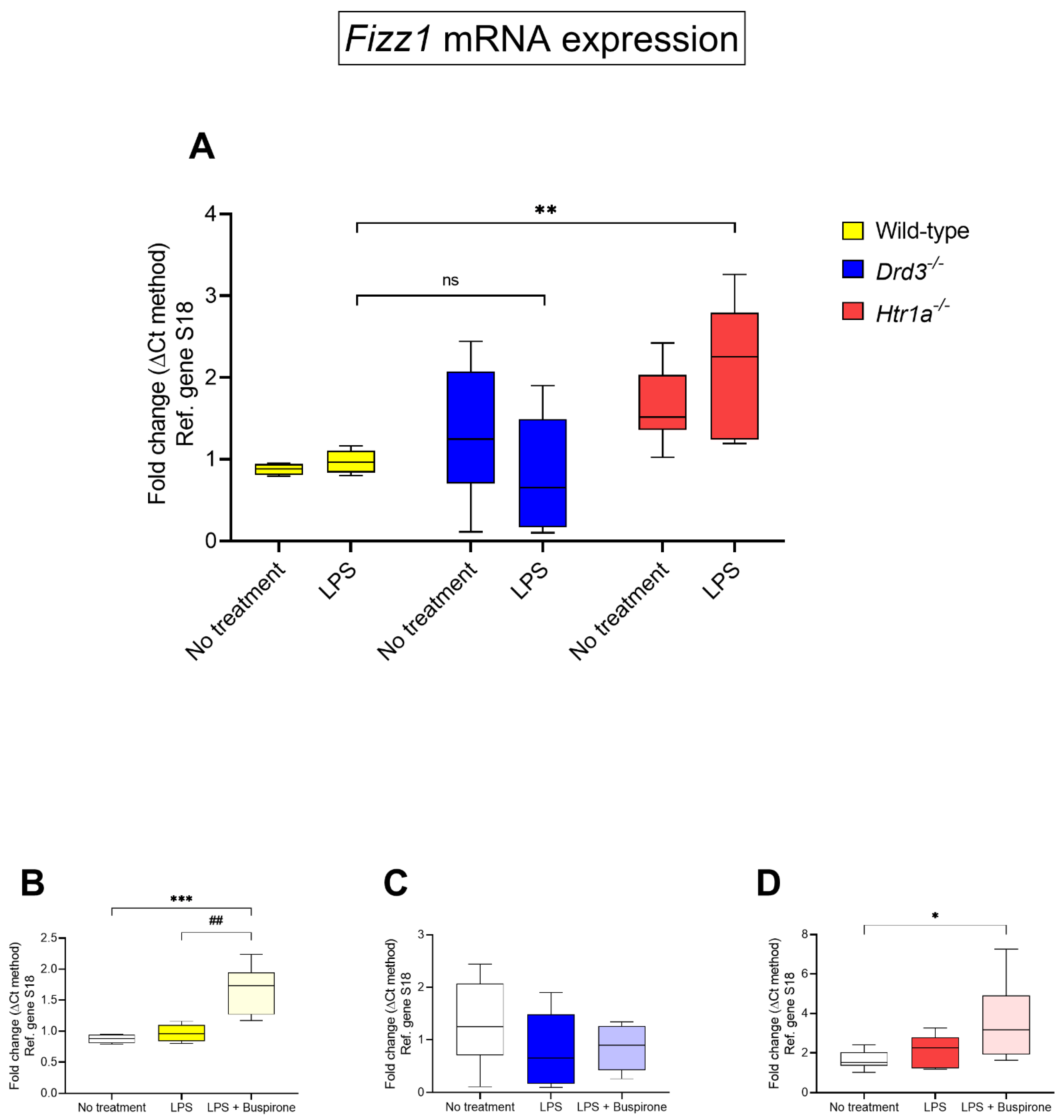 Cells 10 01312 g008 Cells 10 01312 g008