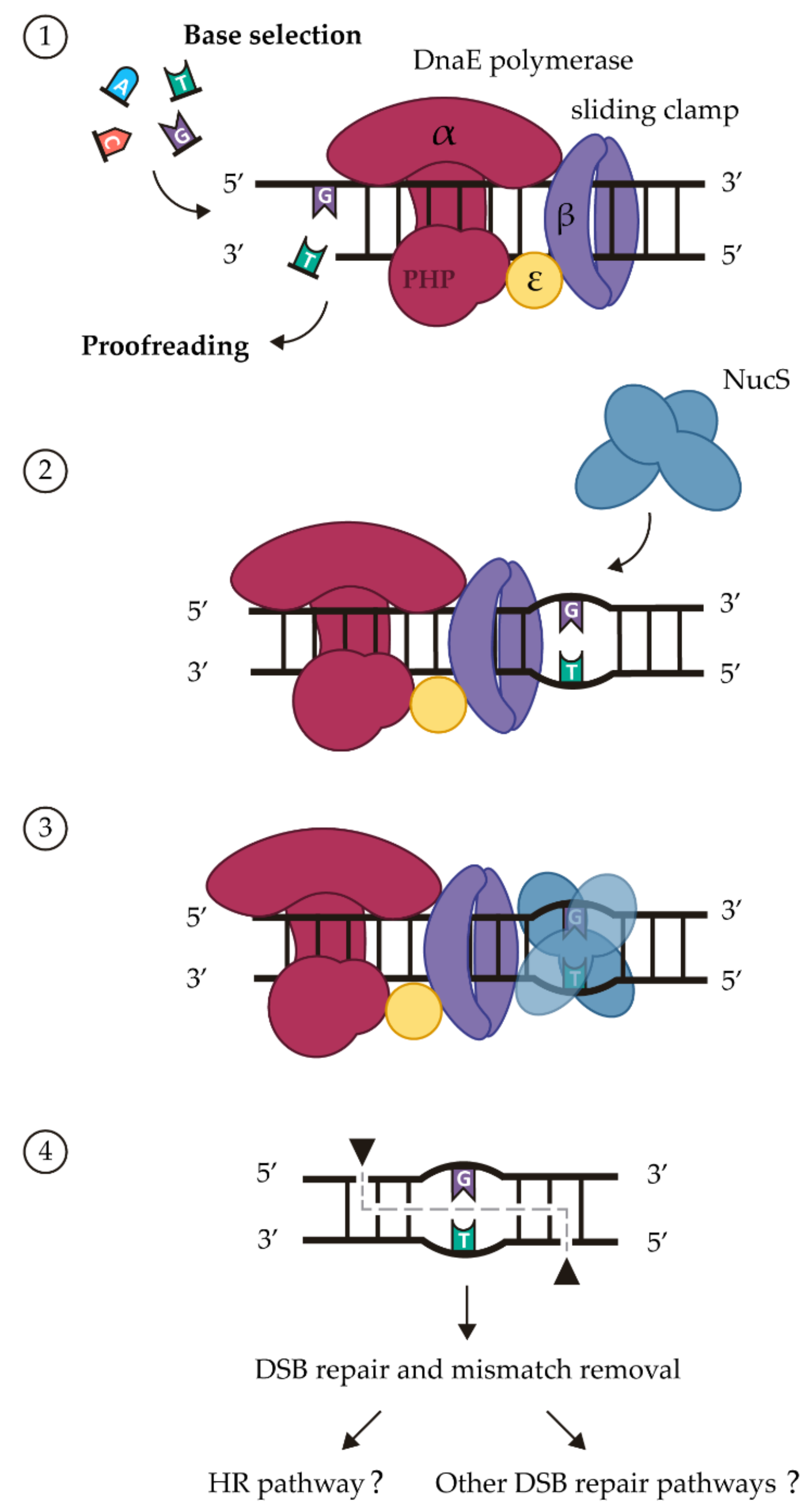 Cells 10 01314 g001 Cells 10 01314 g001