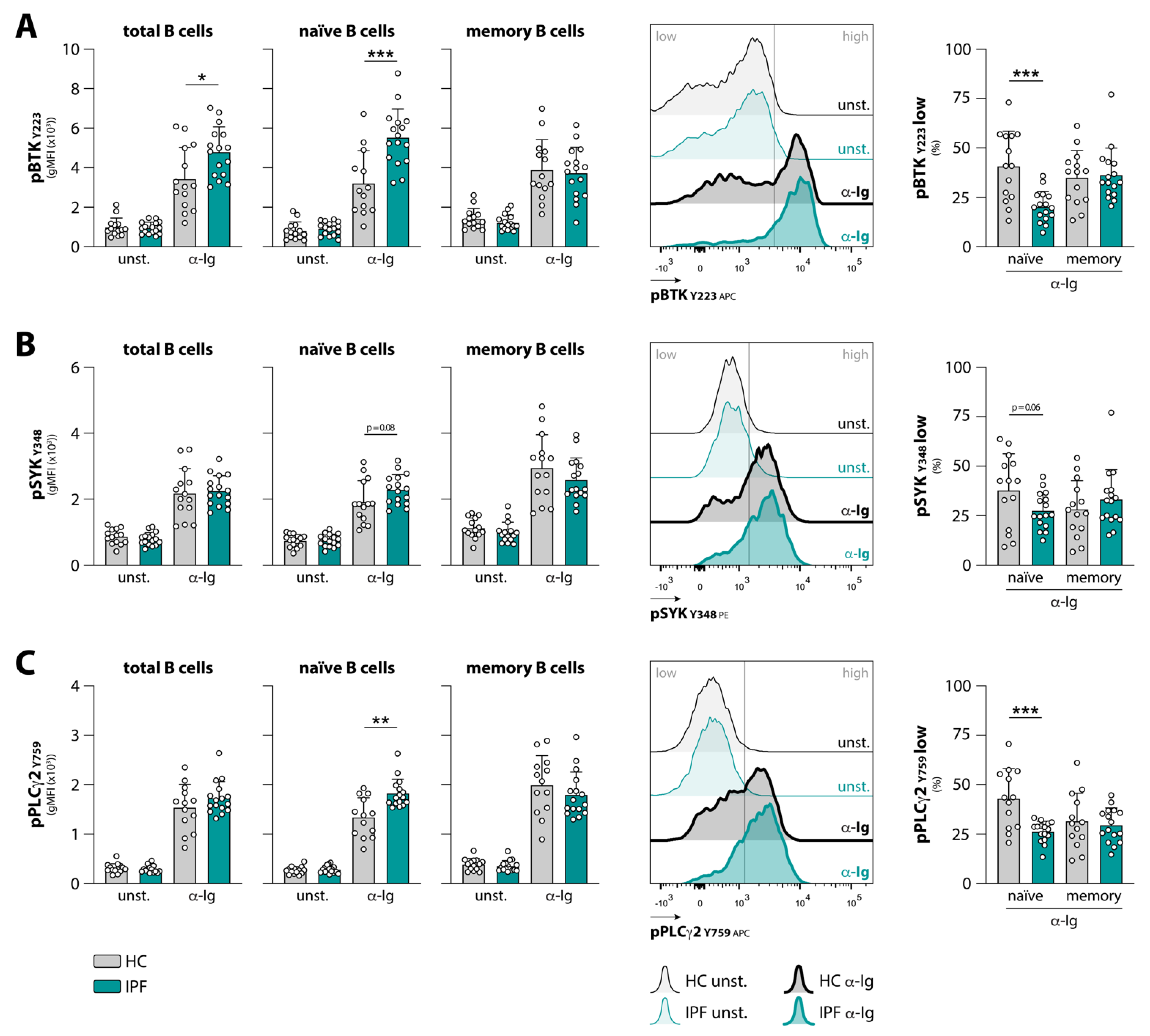 Cells 10 01321 g001 Cells 10 01321 g001