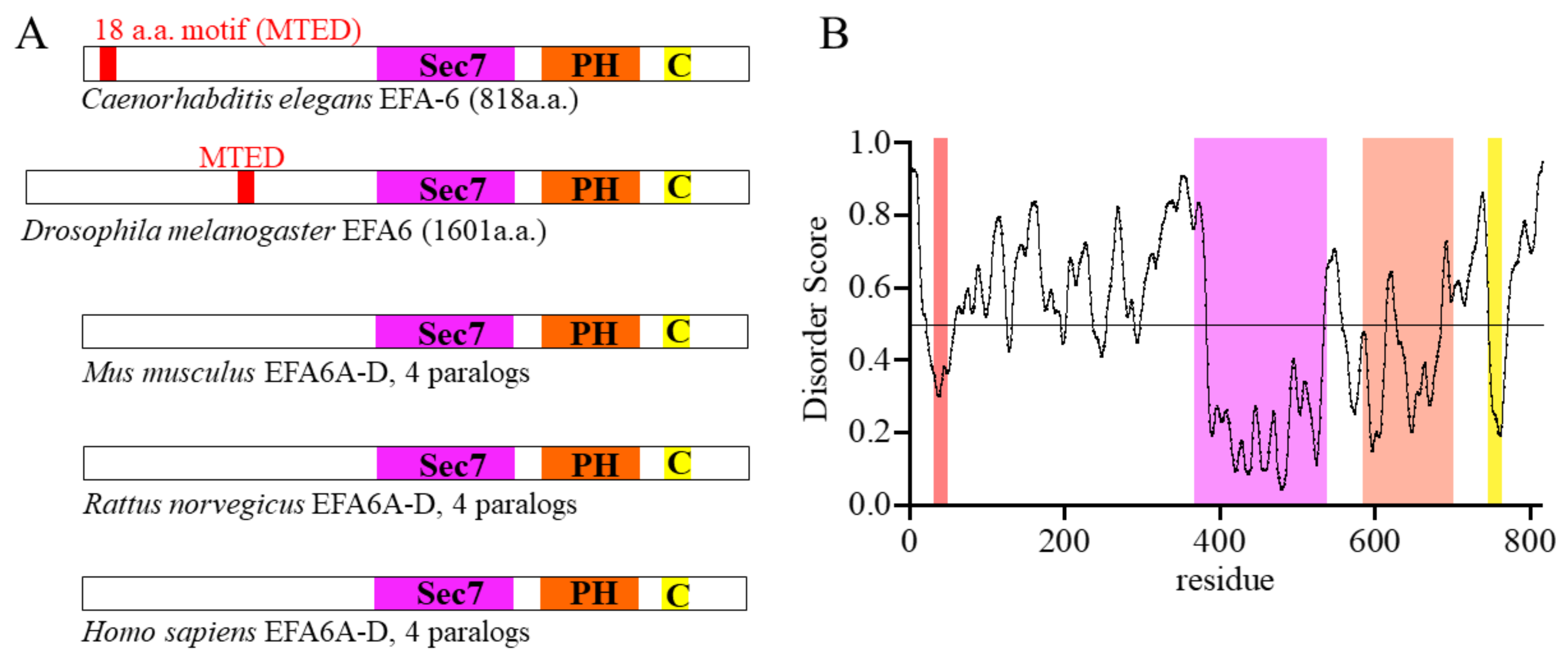 Cells 10 01325 g001 Cells 10 01325 g001