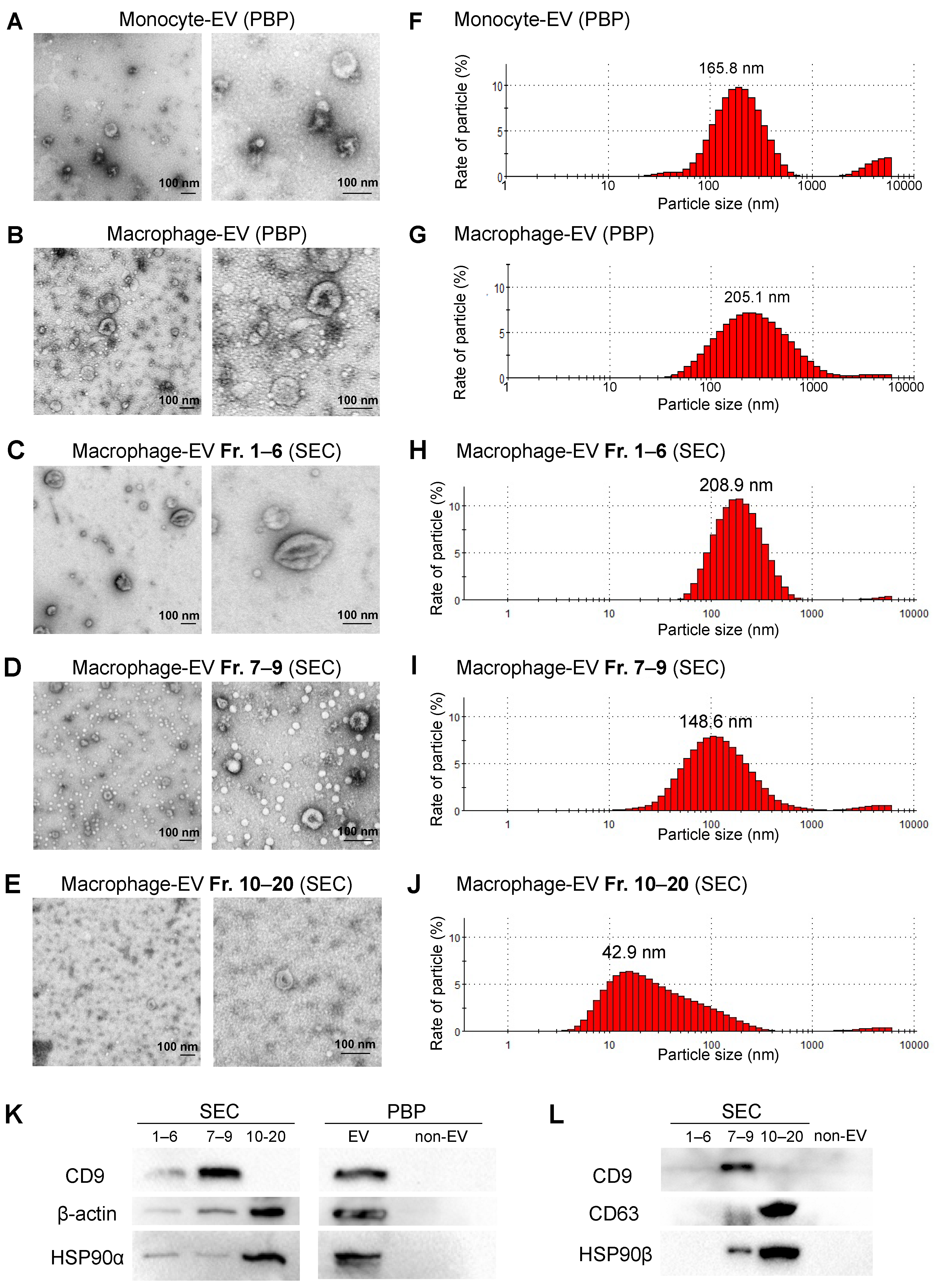 Cells 10 01328 g005