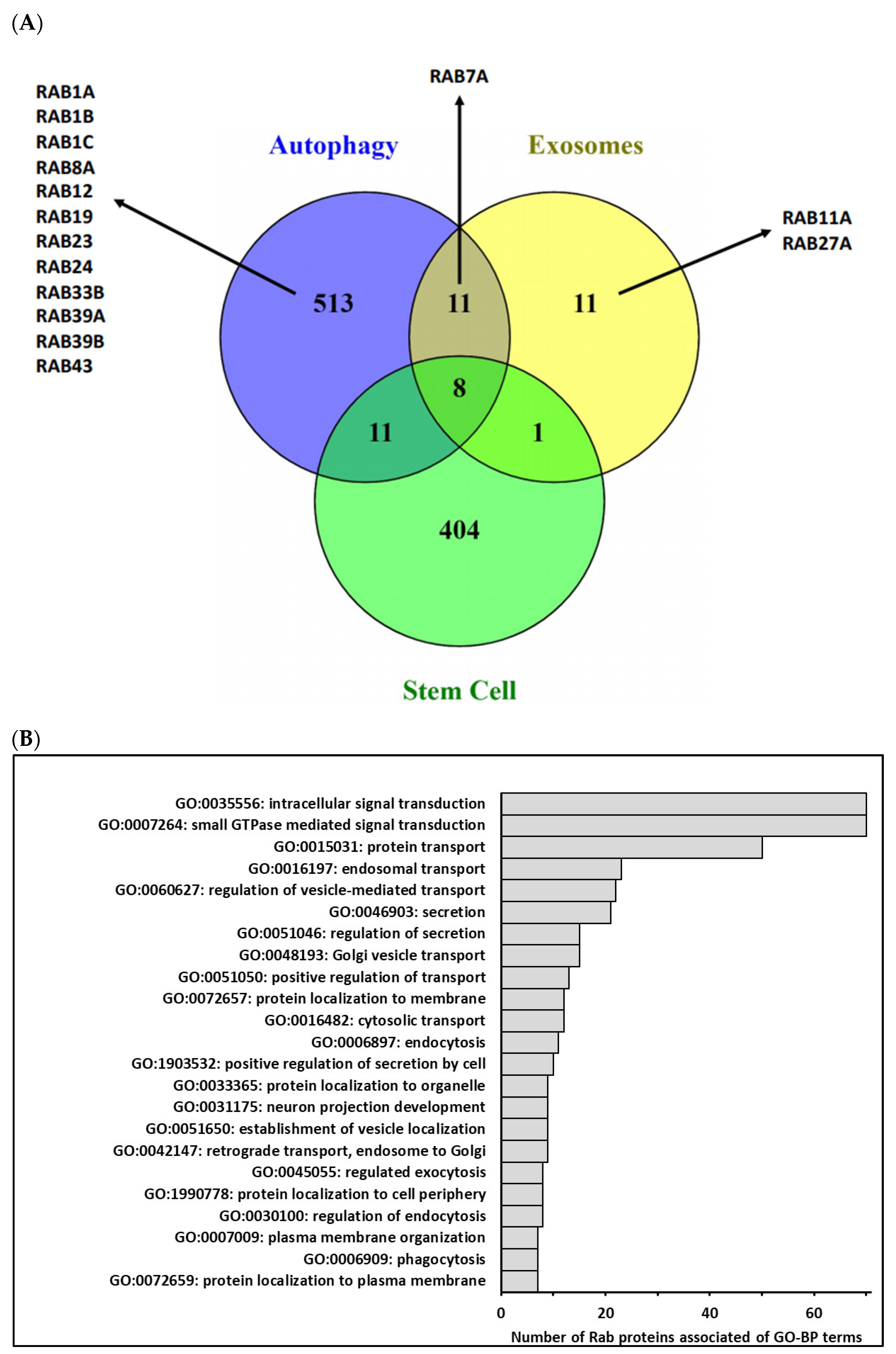 Cells 10 01330 g002 Cells 10 01330 g002