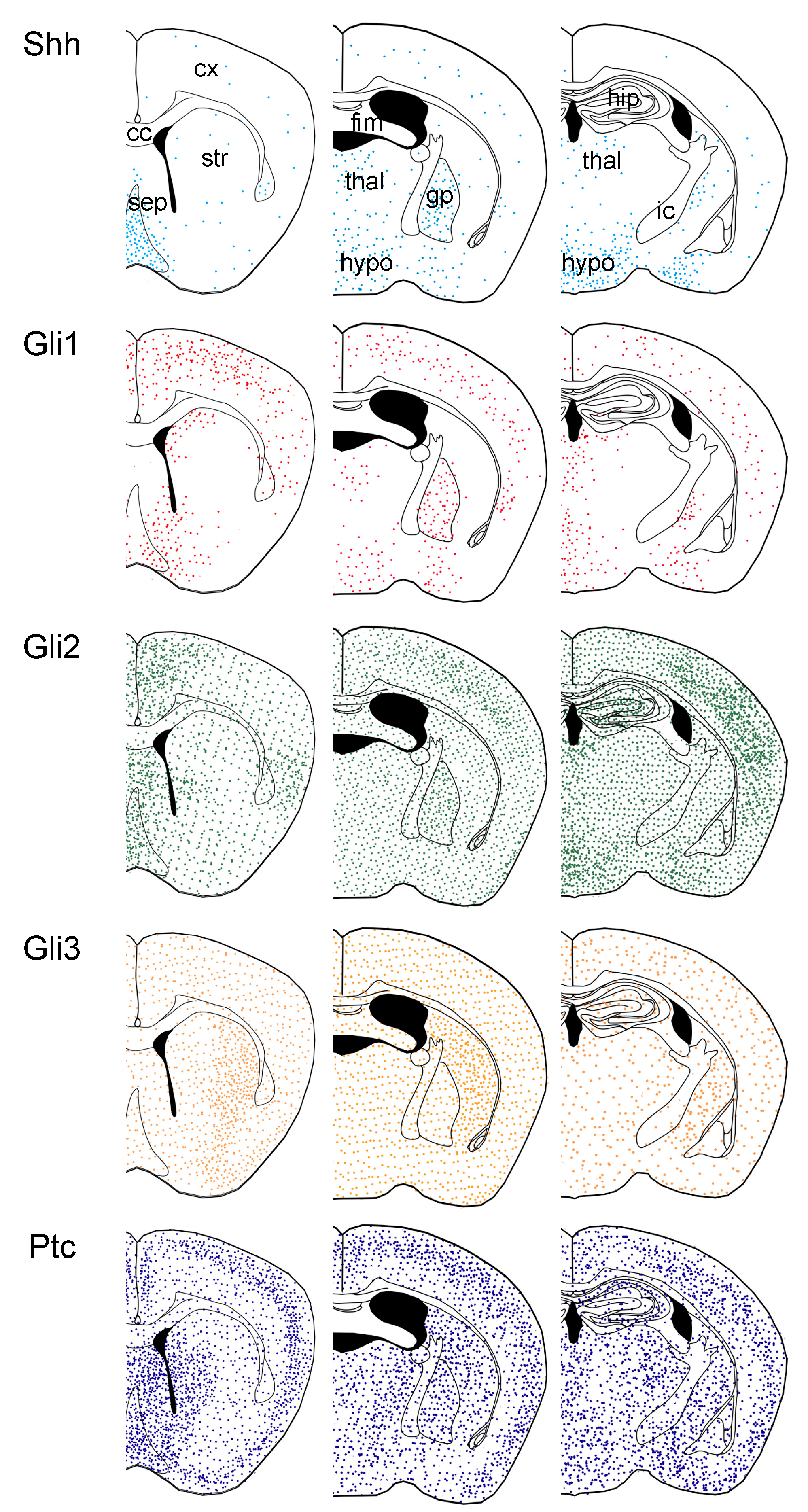Cells 10 01353 g001 Cells 10 01353 g001